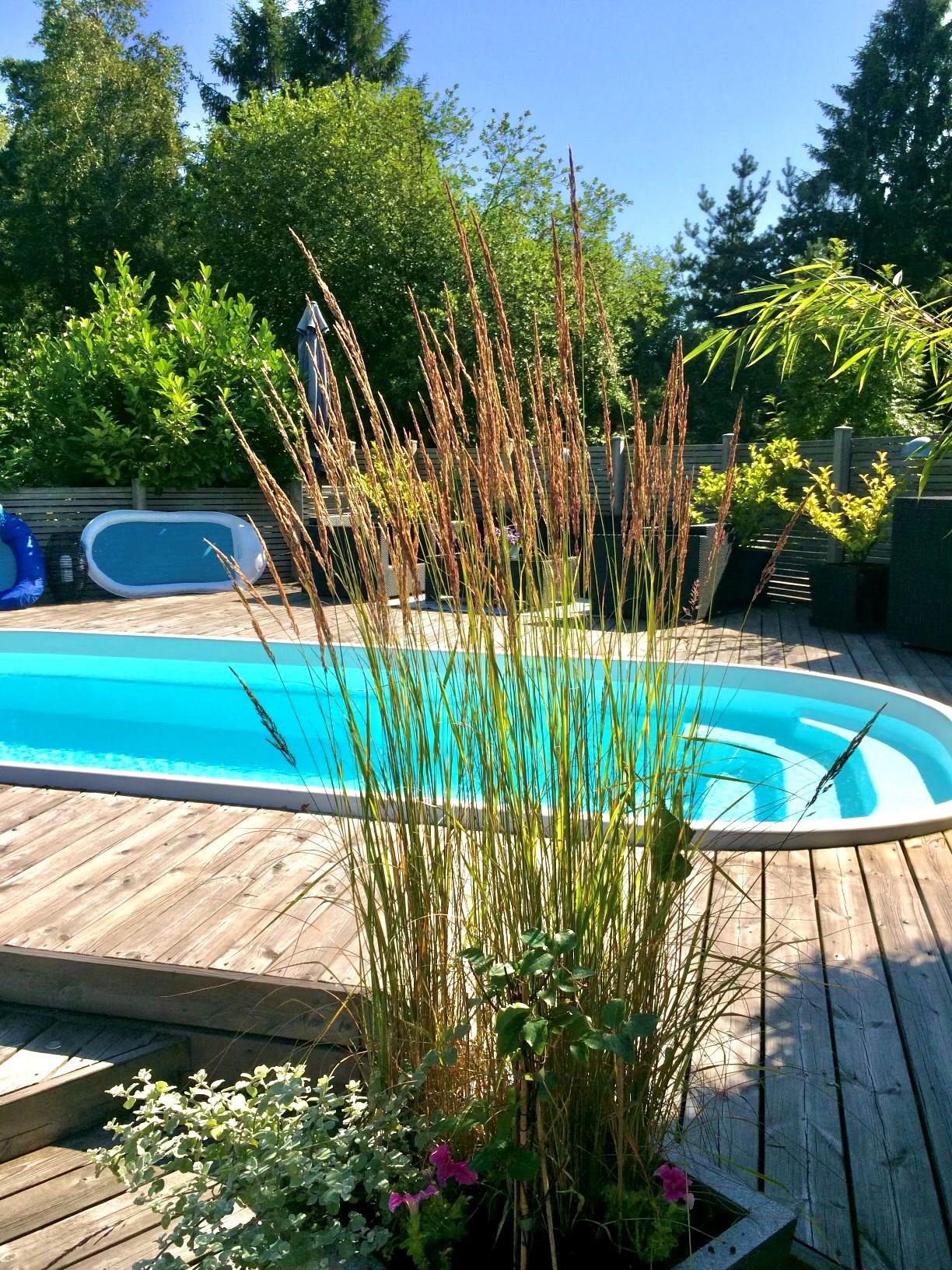 terrasse bois avec piscine terrasse bois avec piscine