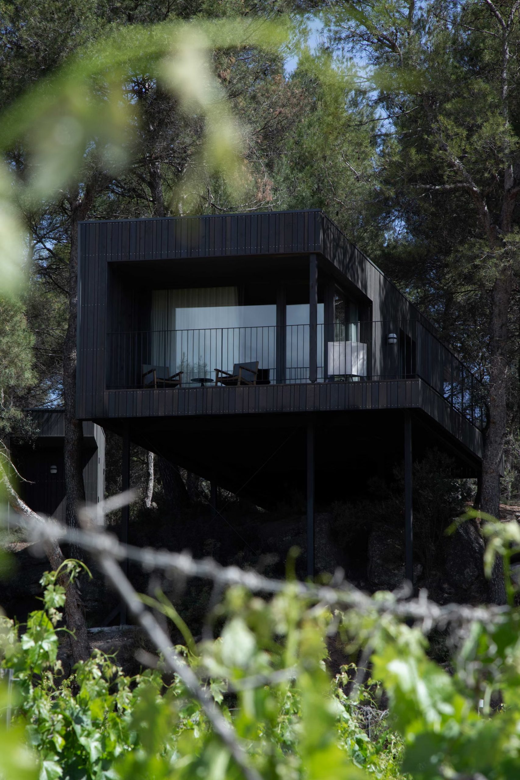 maison en bois maison en bois