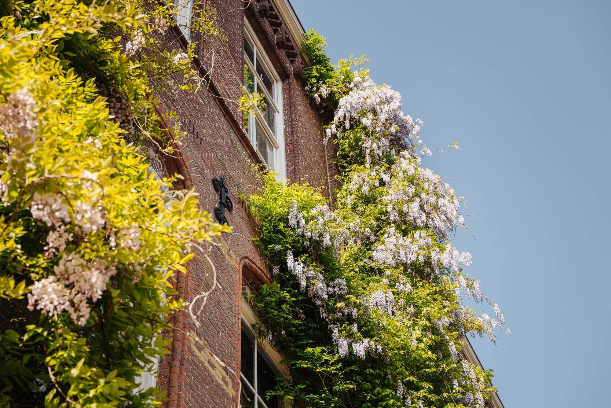 façade Amsterdam