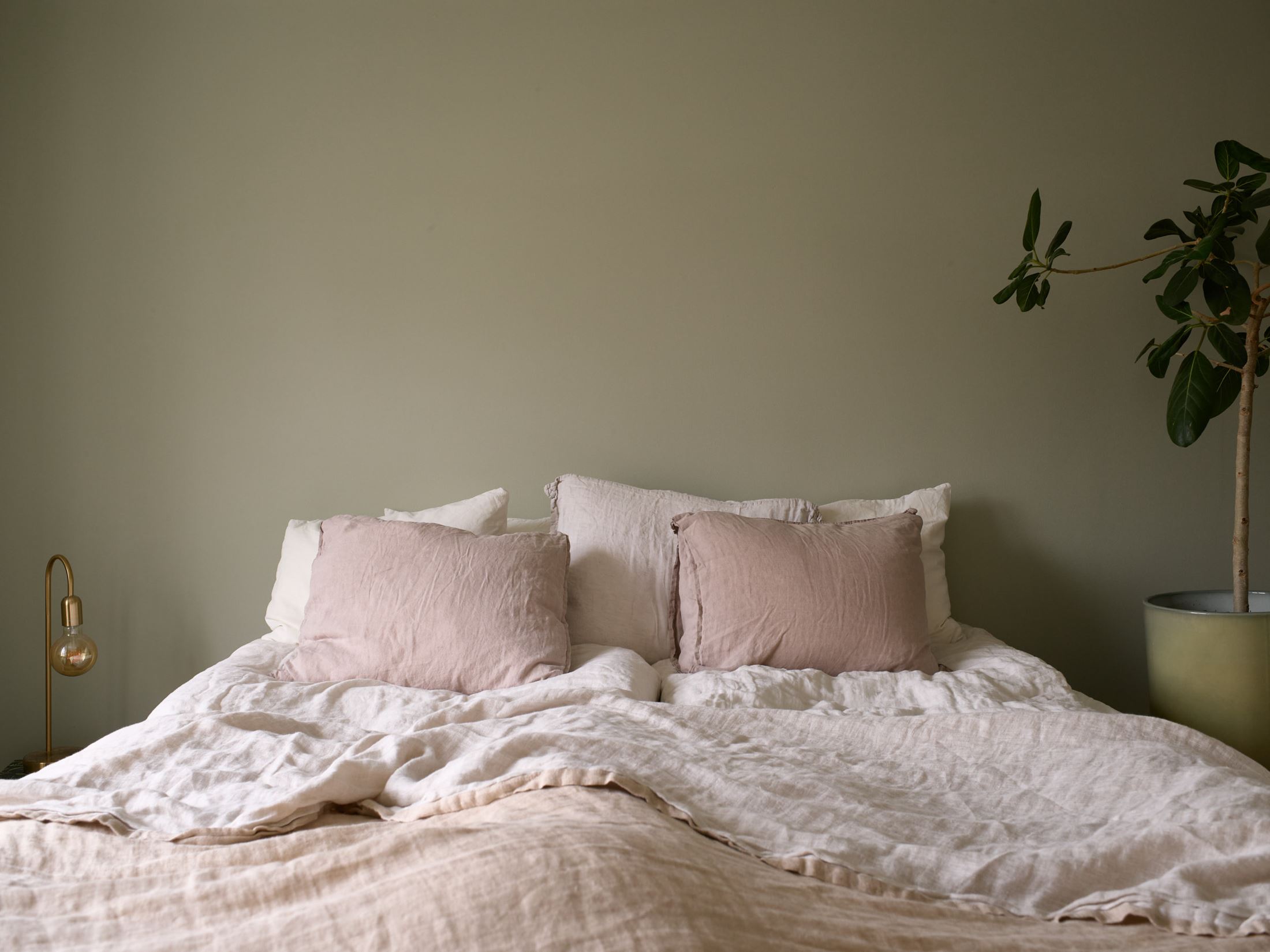 chambre verte et rose