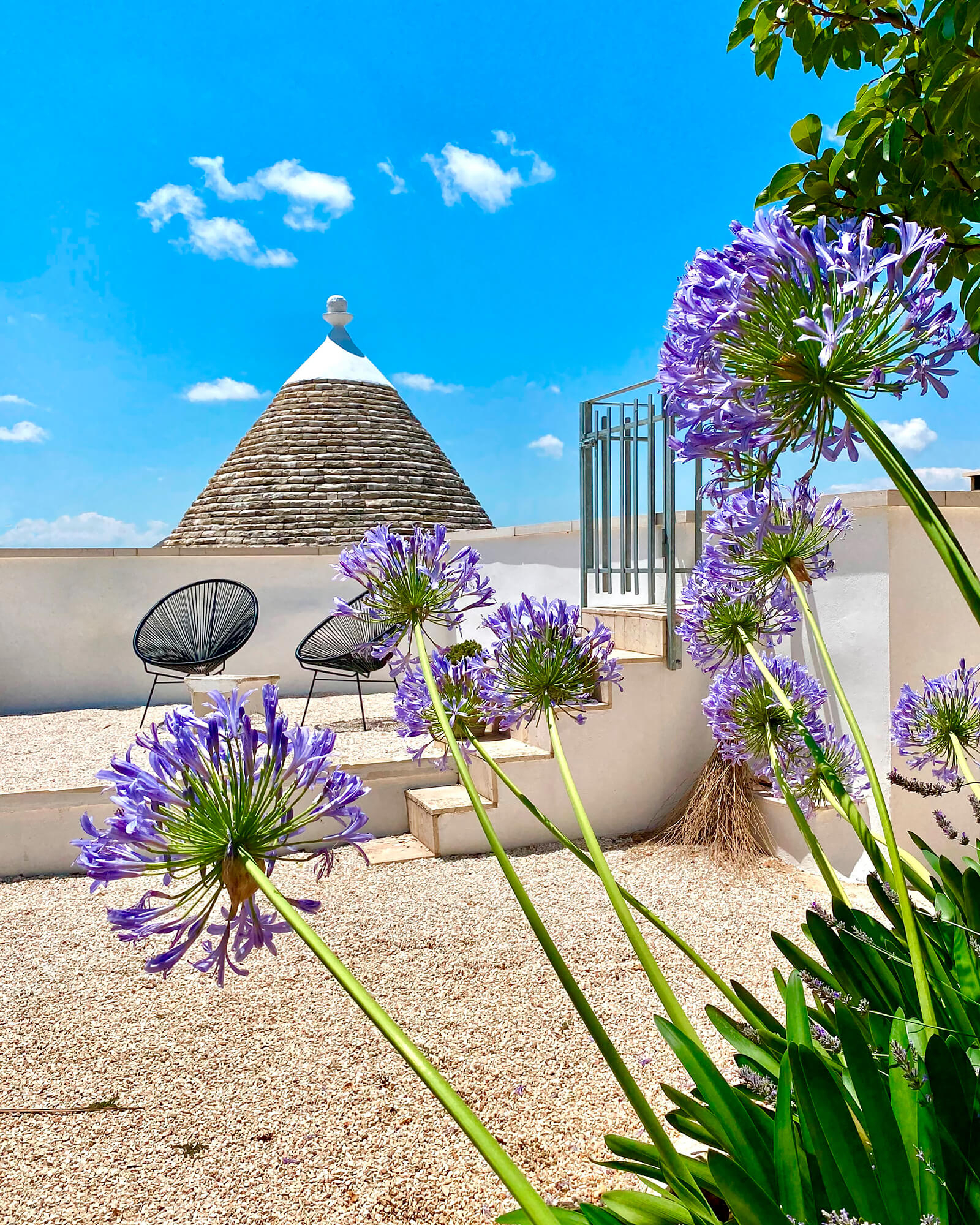 Trullo Falco Trullo Falco