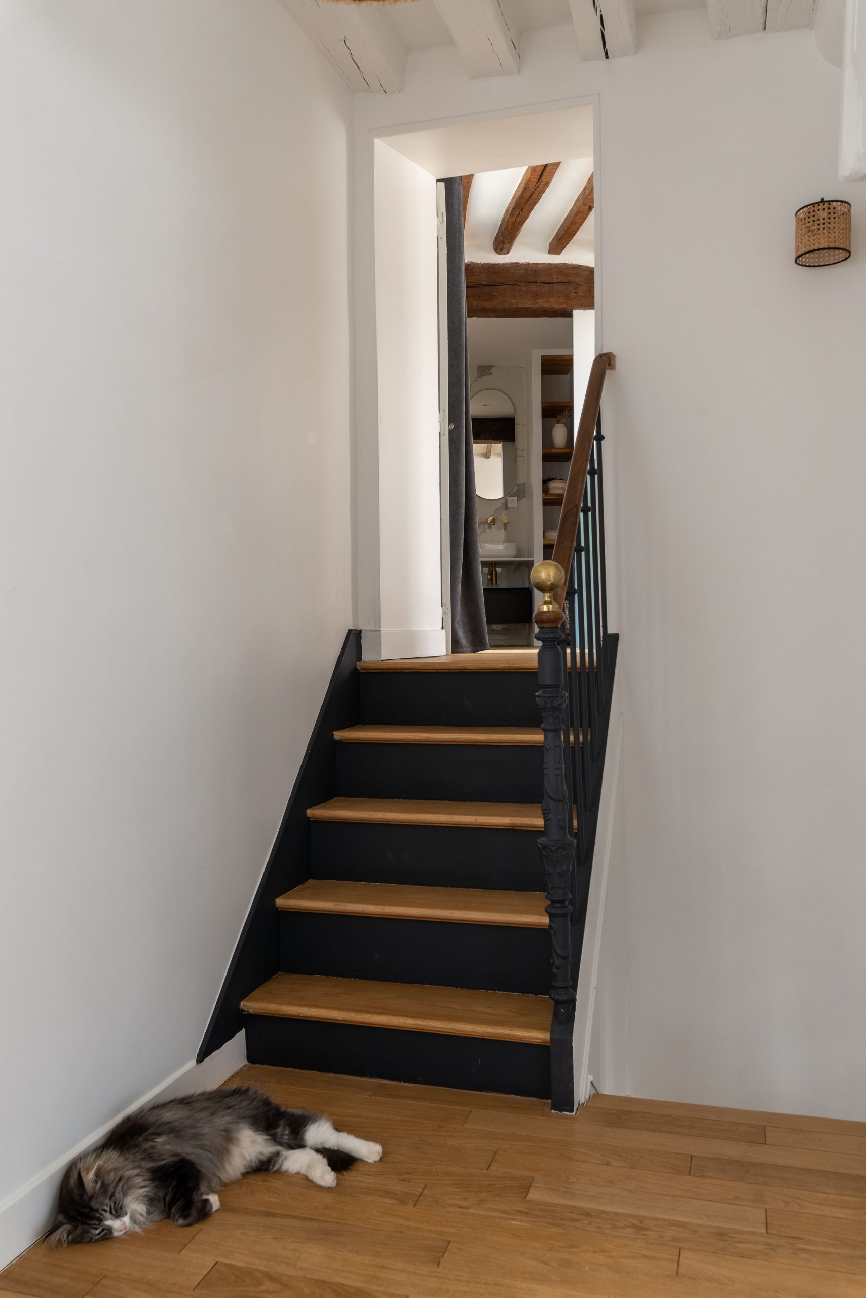 escalier avec chat