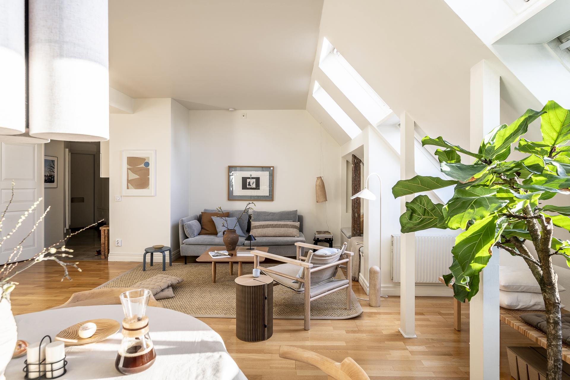 salon avec fenêtres de toit appartement mansardé