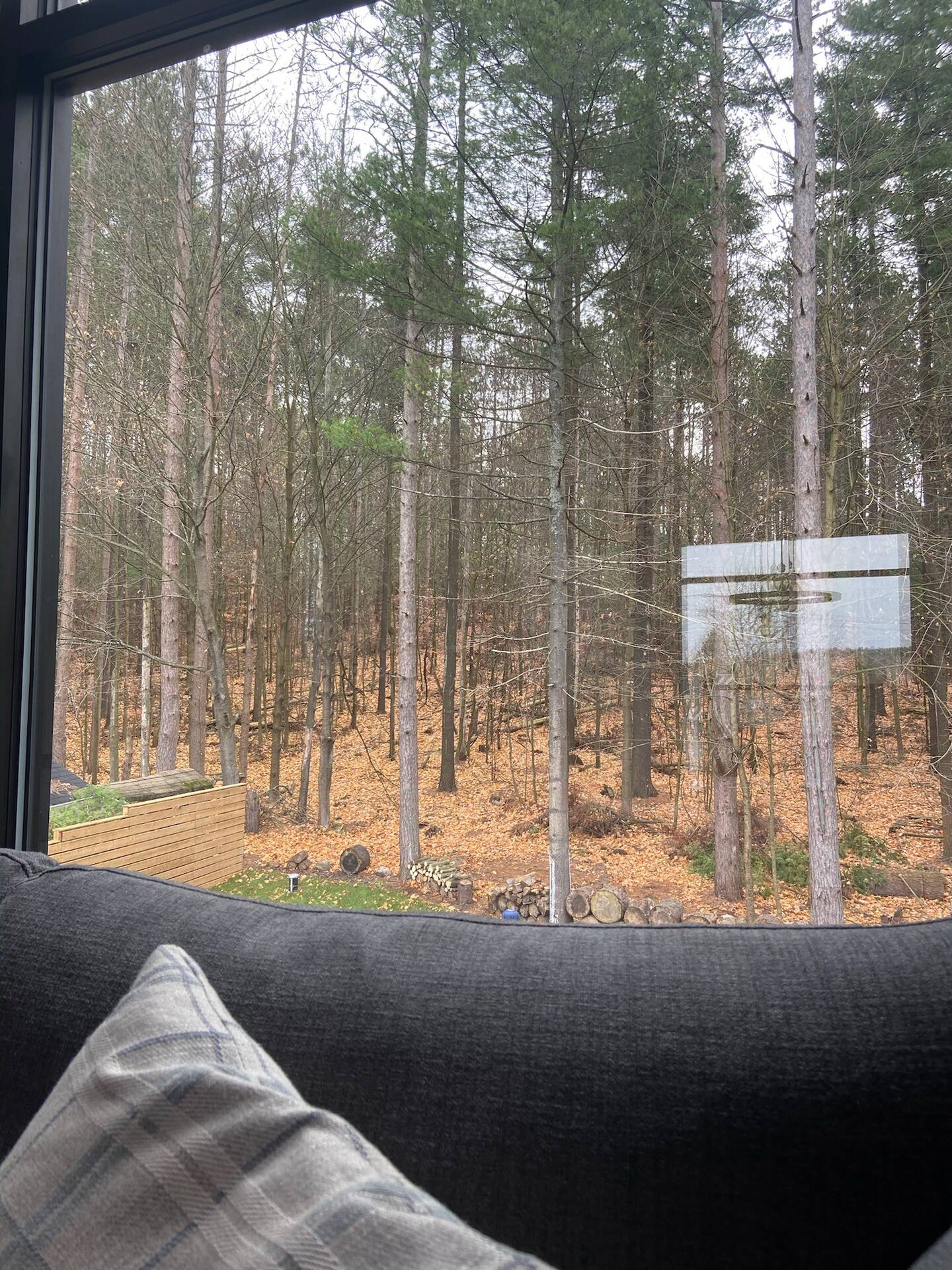 salon avec picture window
