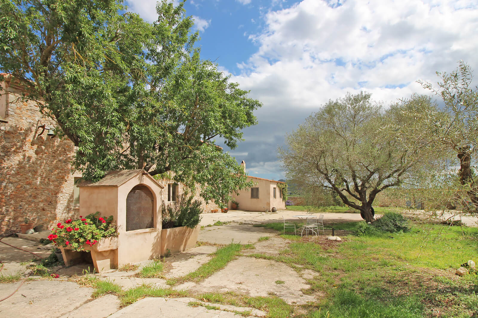 maison en pierres avec oliviers