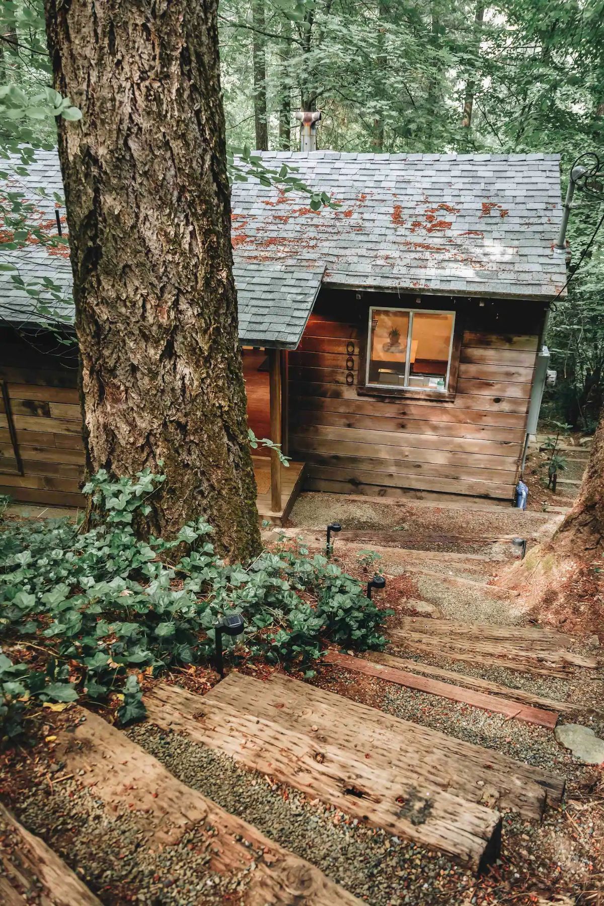 maison en bois maison en bois