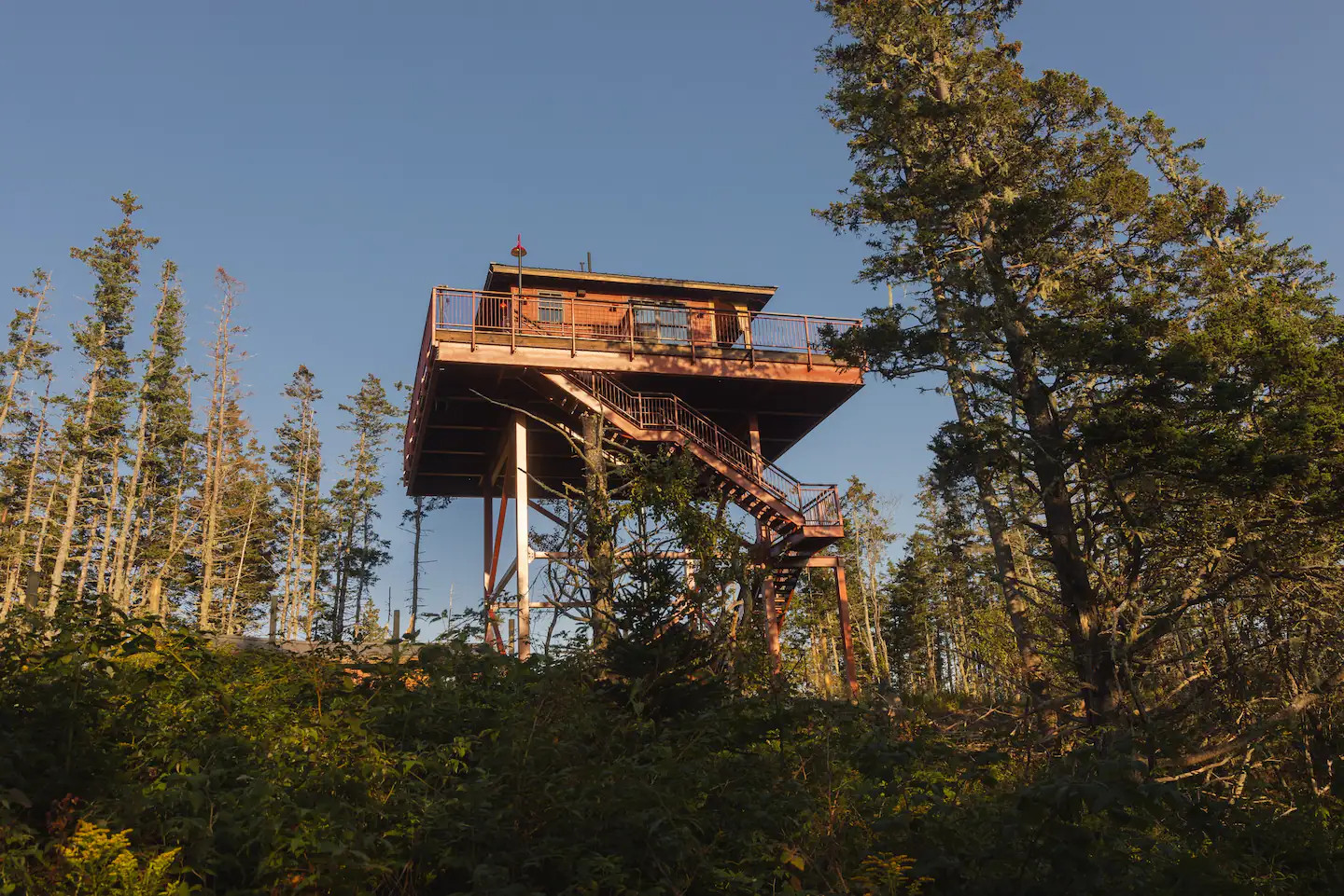 maison loft en bois sur pilotis