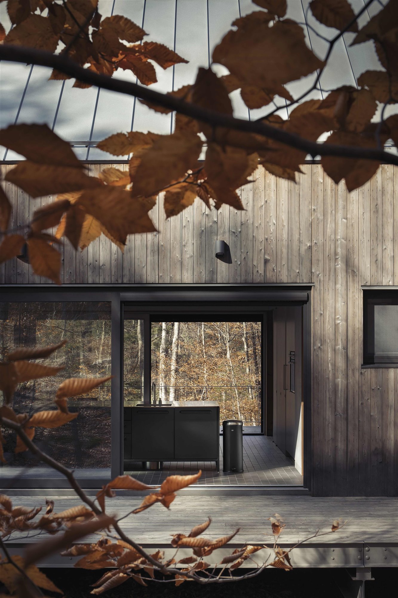 maison en bois entourée d maison en bois entourée d'arbres
