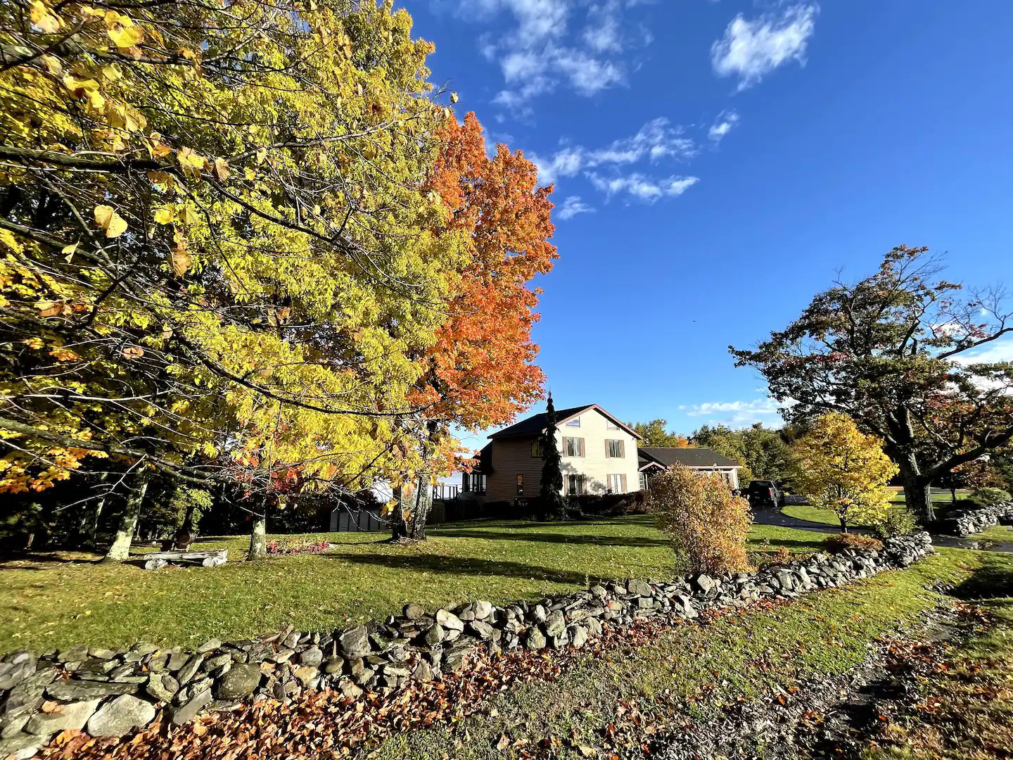 maison en bois