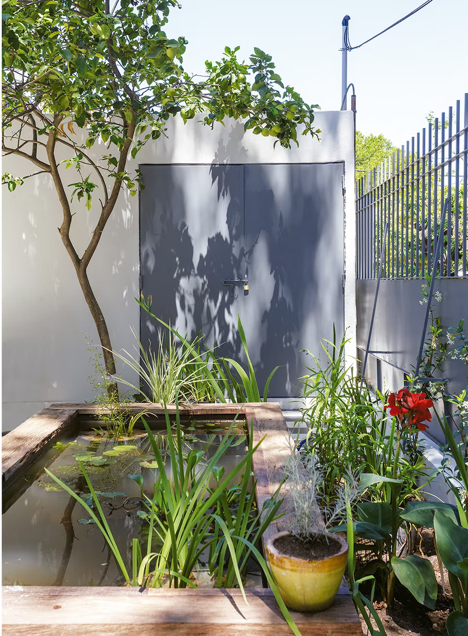 jardin avec bassin jardin avec bassin
