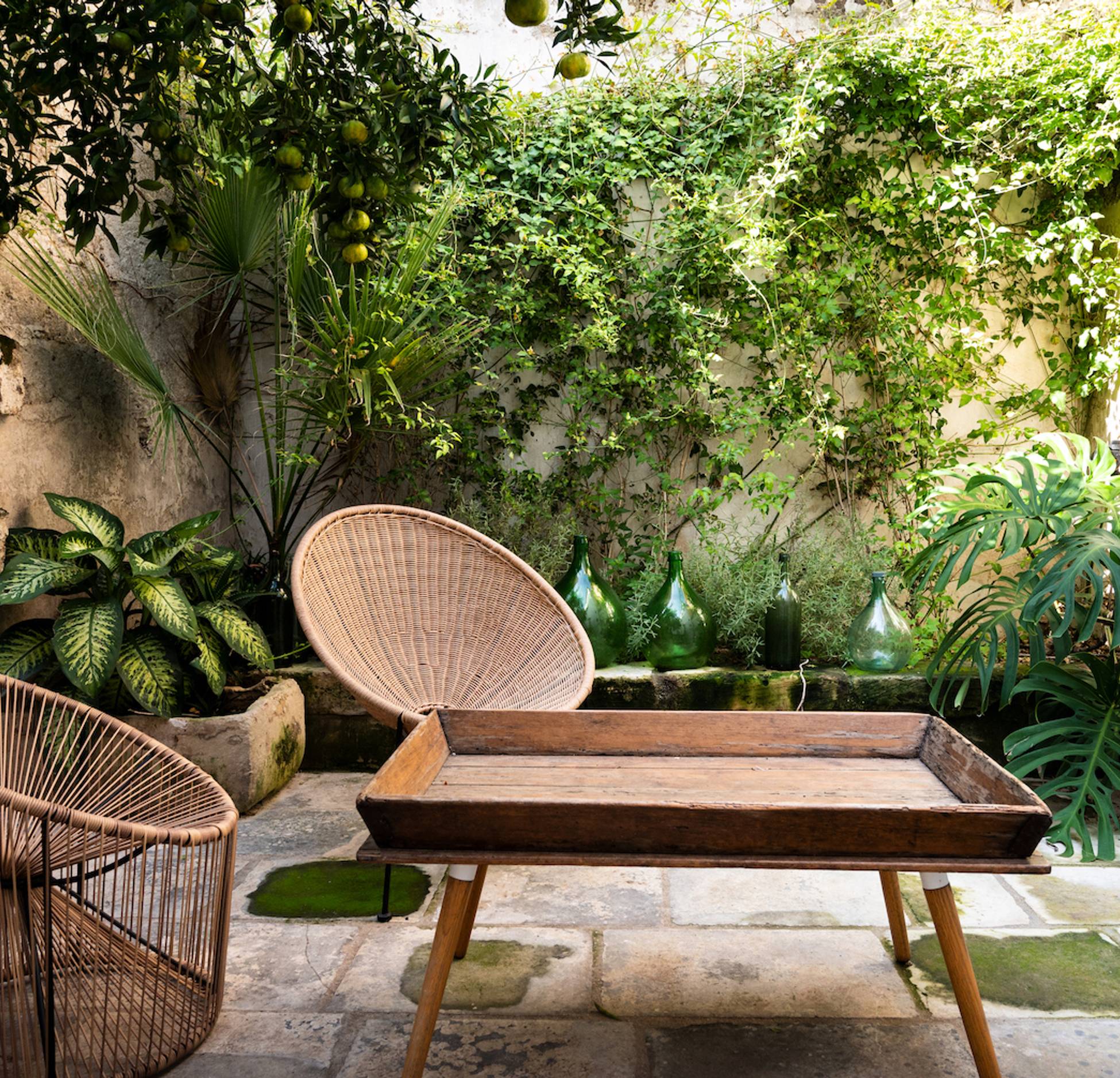 jardin avec terrasse pavé et murs
