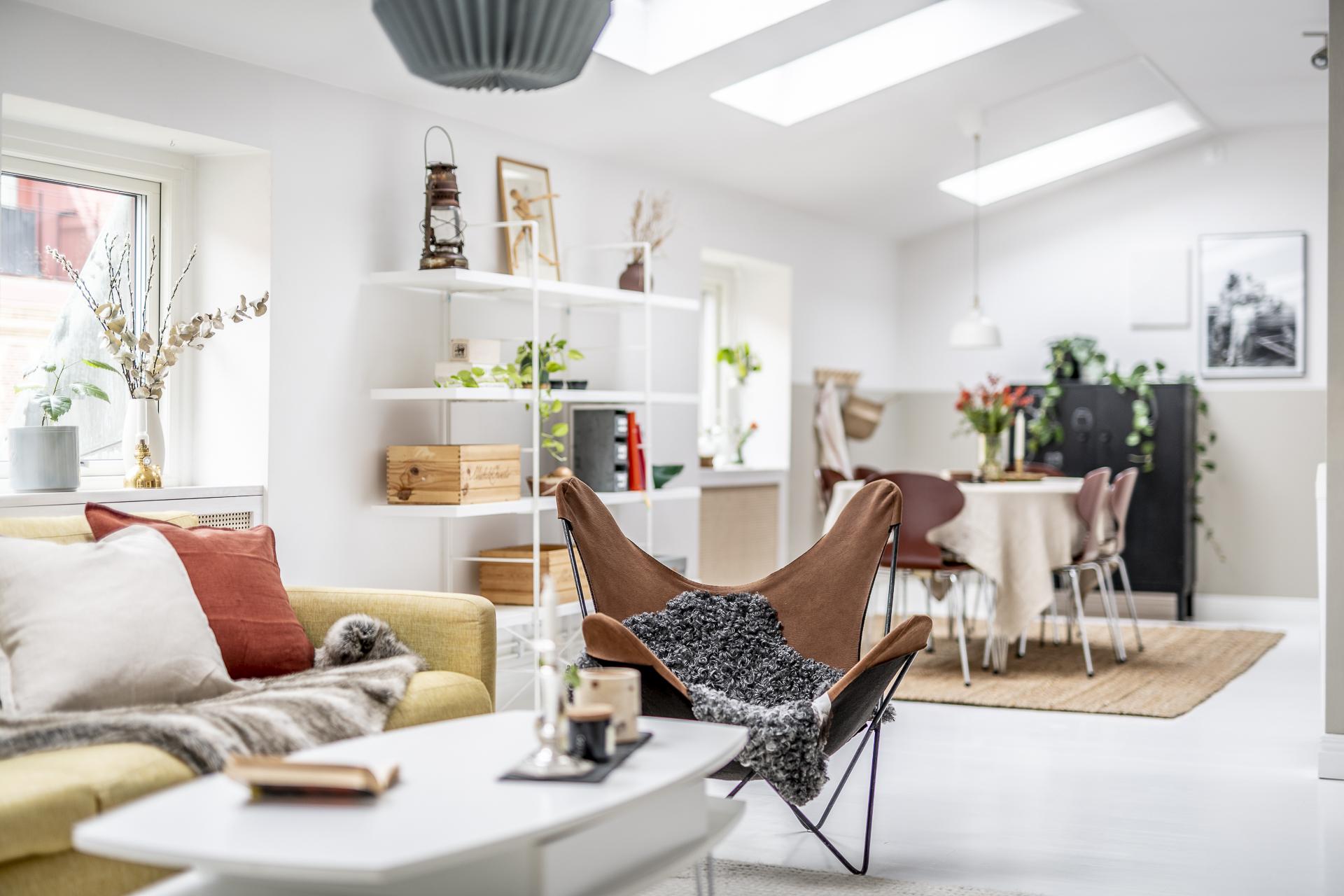 salon avec velux appartement sous combles