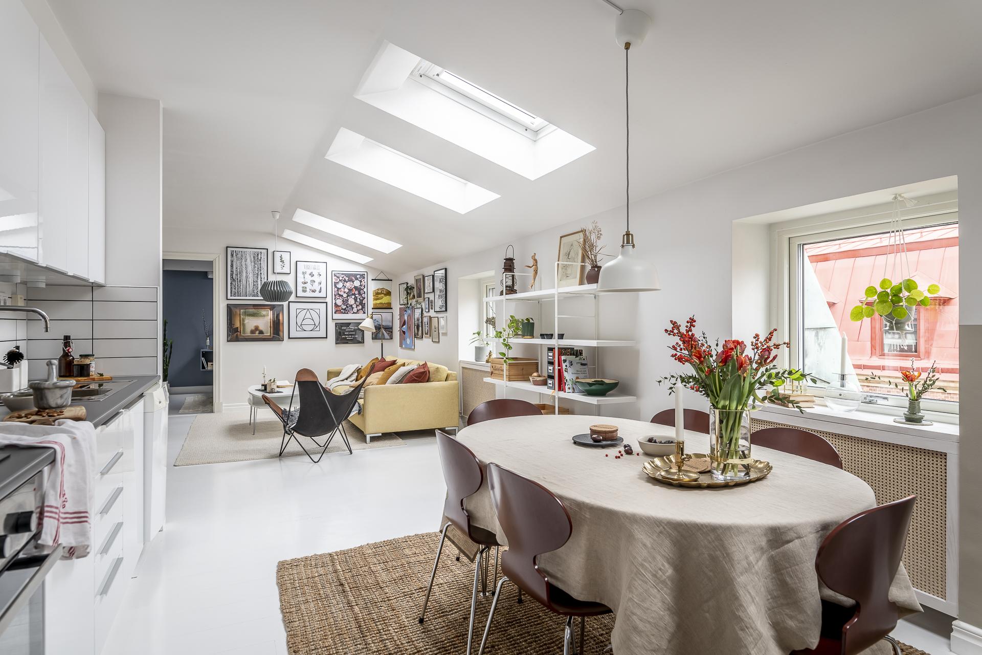 salon avec velux appartement sous combles