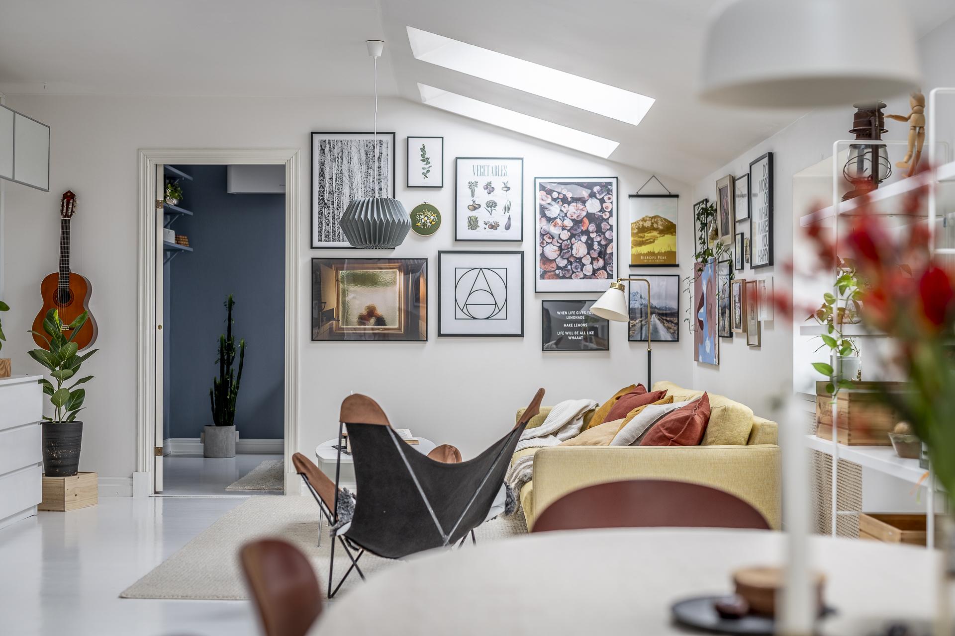 salon avec velux appartement sous combles