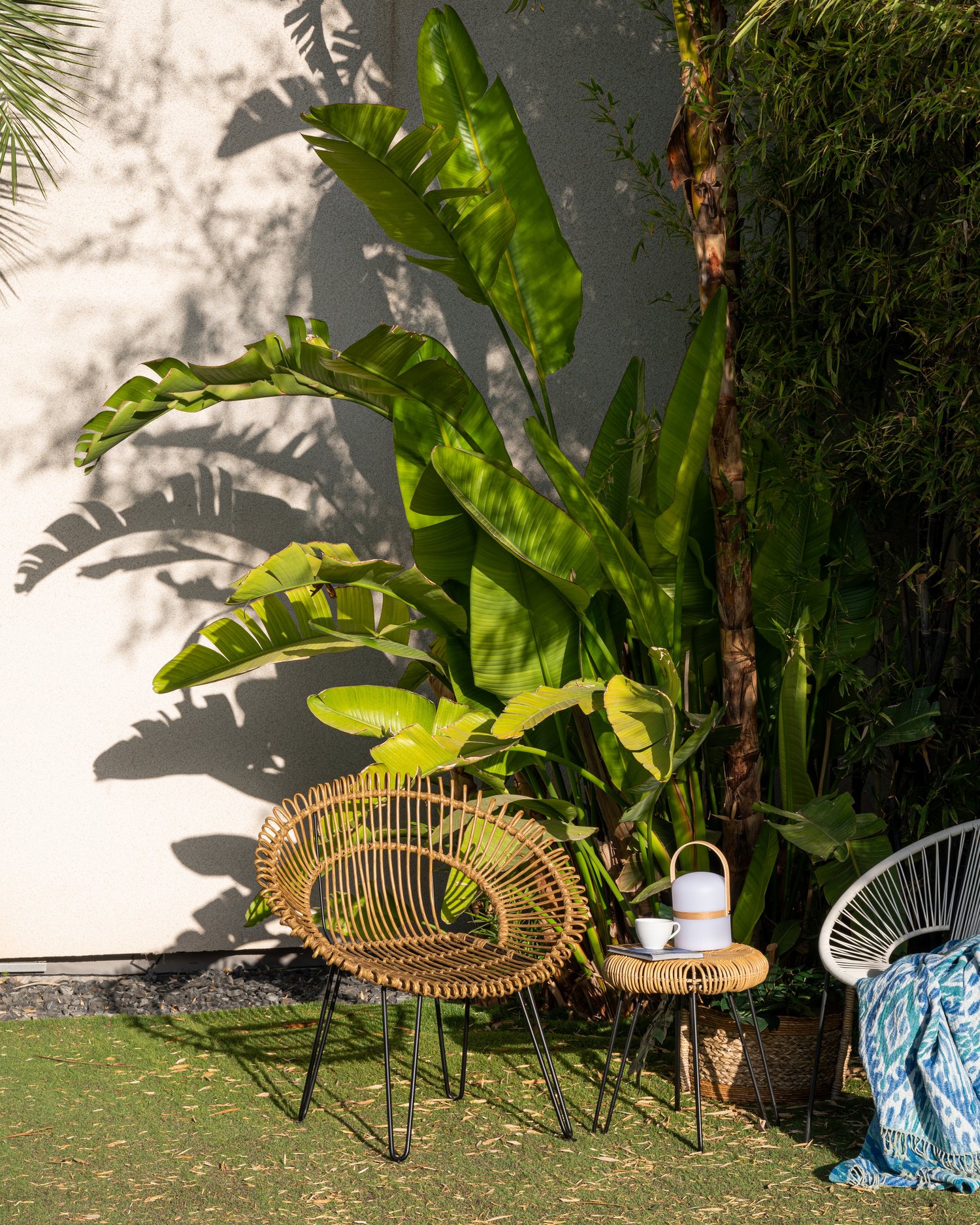 jardin avec bananier