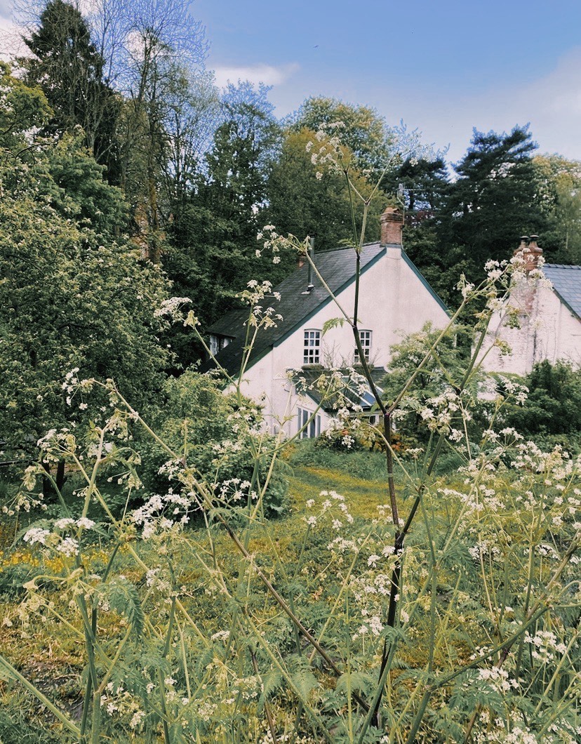 cottage rustique et authentique au Pays de Galles cottage rustique et authentique au Pays de Galles