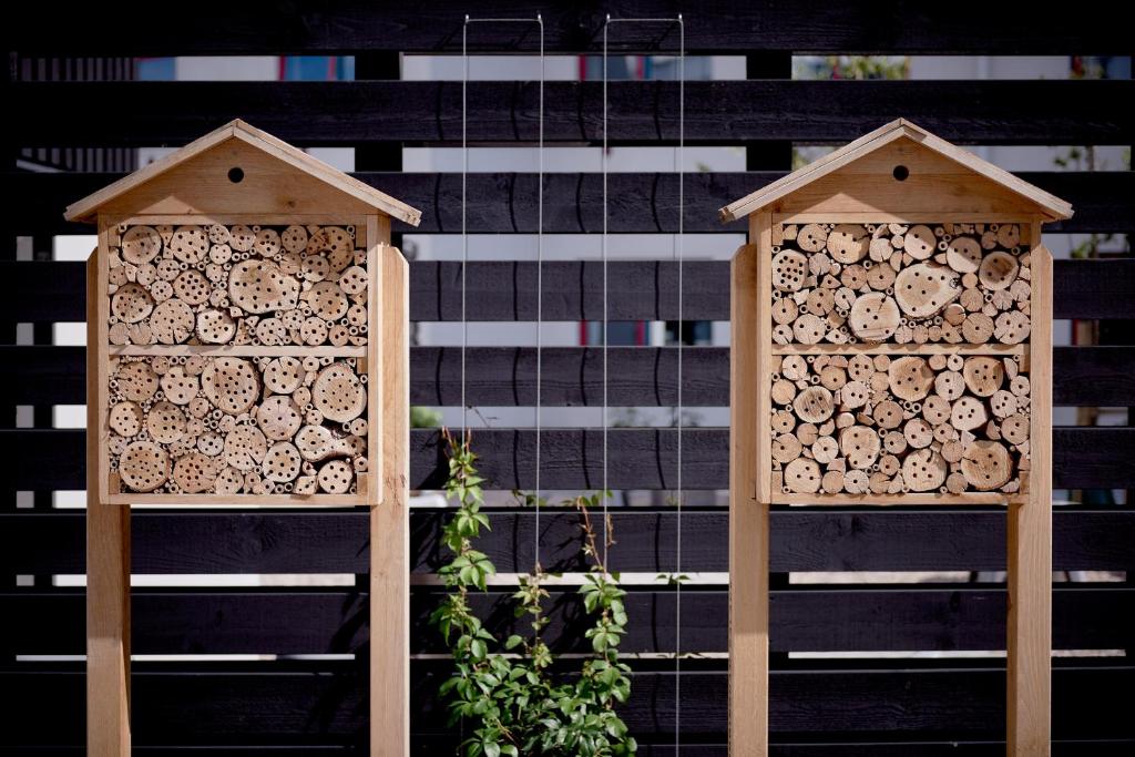 maison pour abeilles