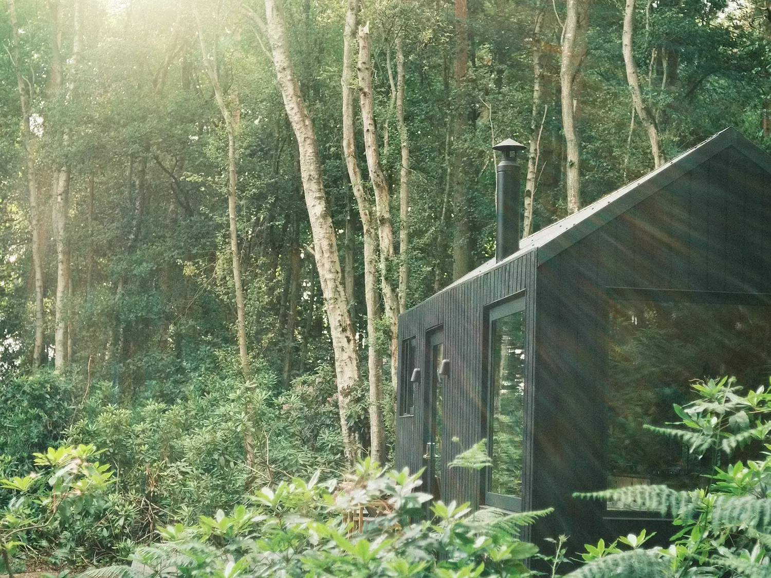 tiny house tiny house