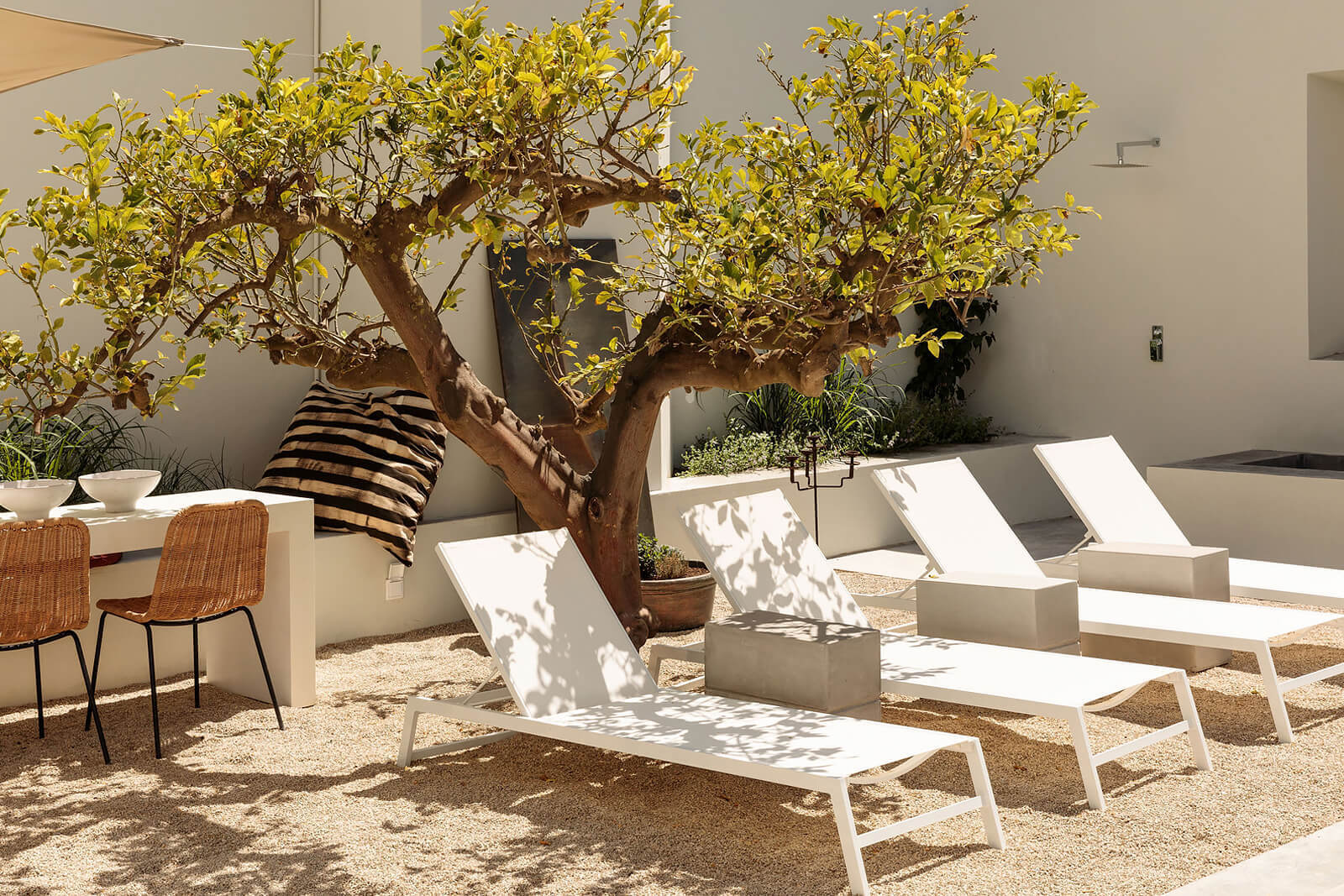 jardin maison de ville design jardin maison de ville design