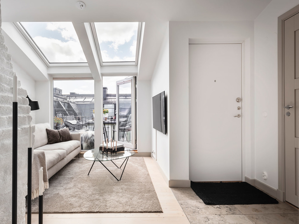 salon avec fenêtres de toit appartement 34m2 salon avec fenêtres de toit appartement 34m2
