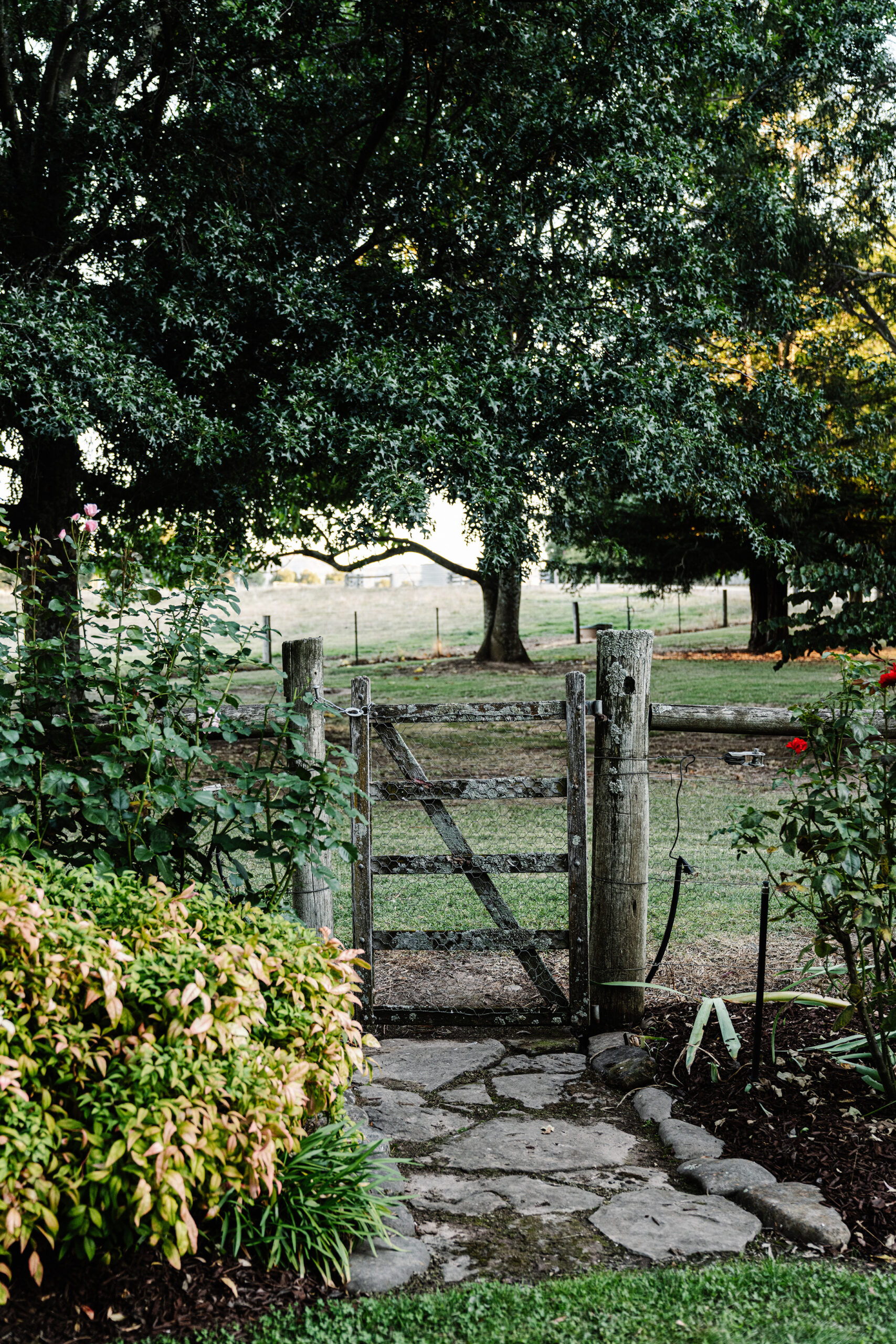 jardin maison Australie jardin maison Australie