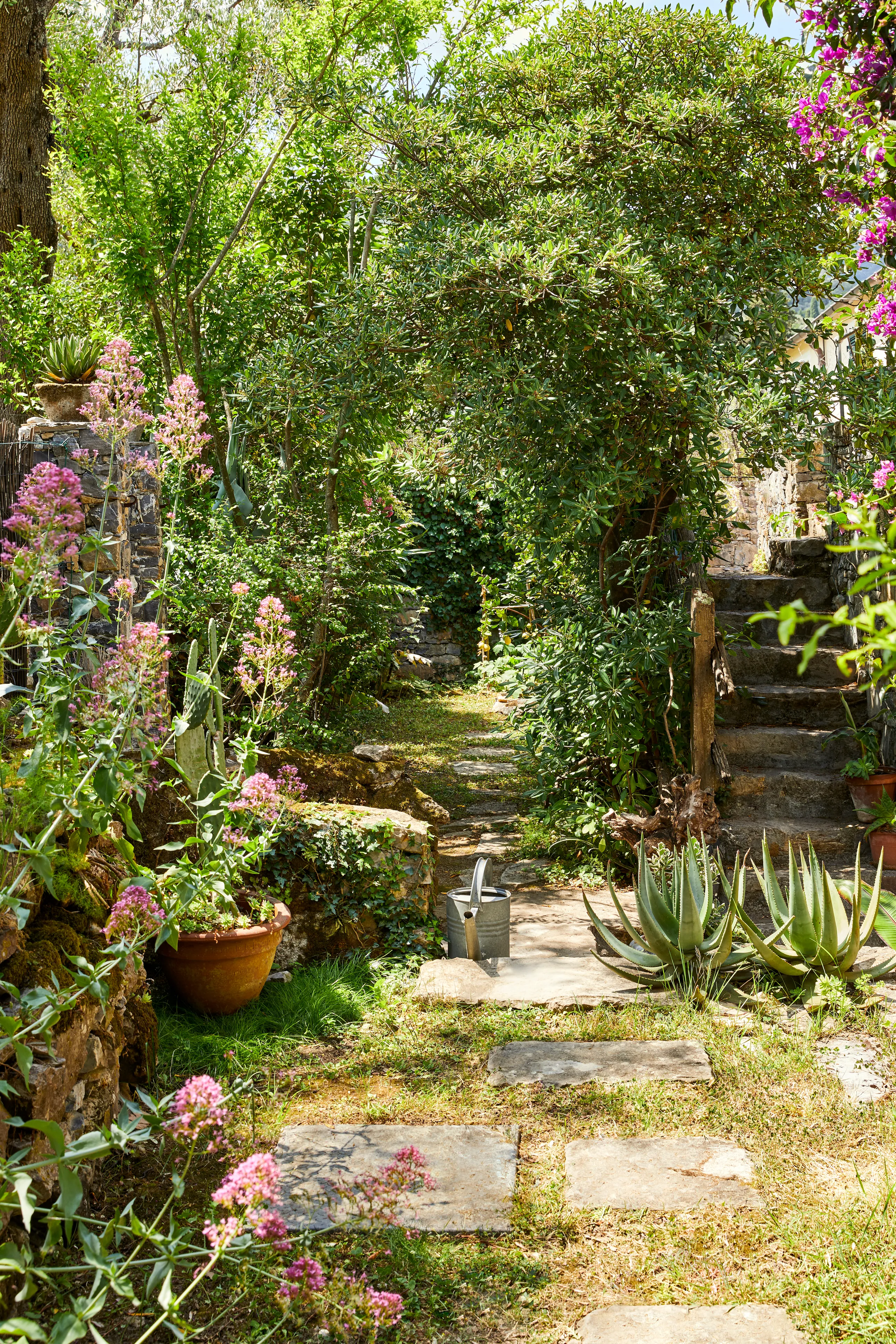 jardin méditerranéen jardin méditerranéen