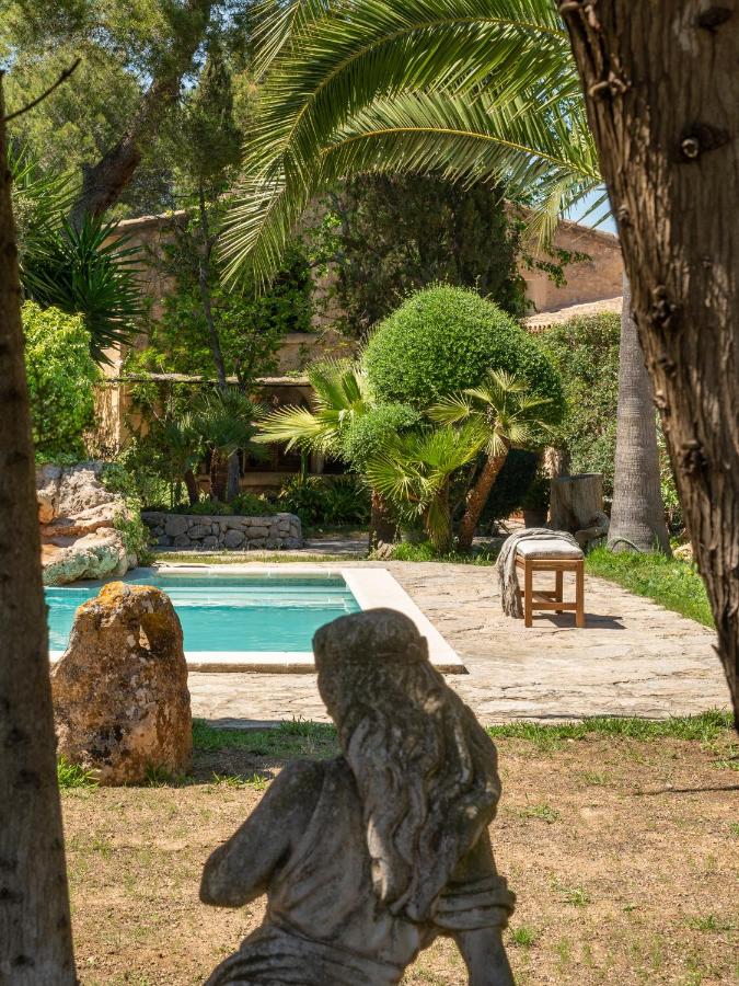 piscine avec palmiers piscine avec palmiers