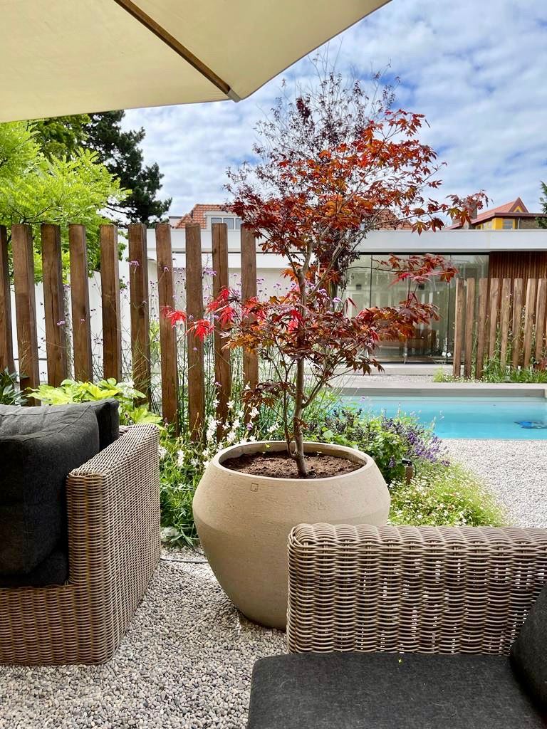 jardin avec piscine 