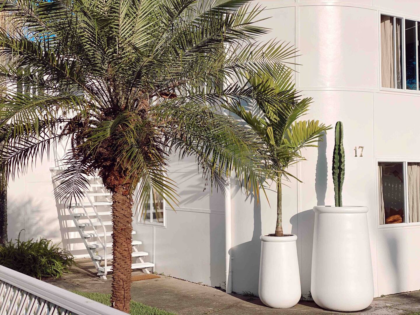 jardin avec palmier maison blanche en Australie jardin avec palmier maison blanche en Australie