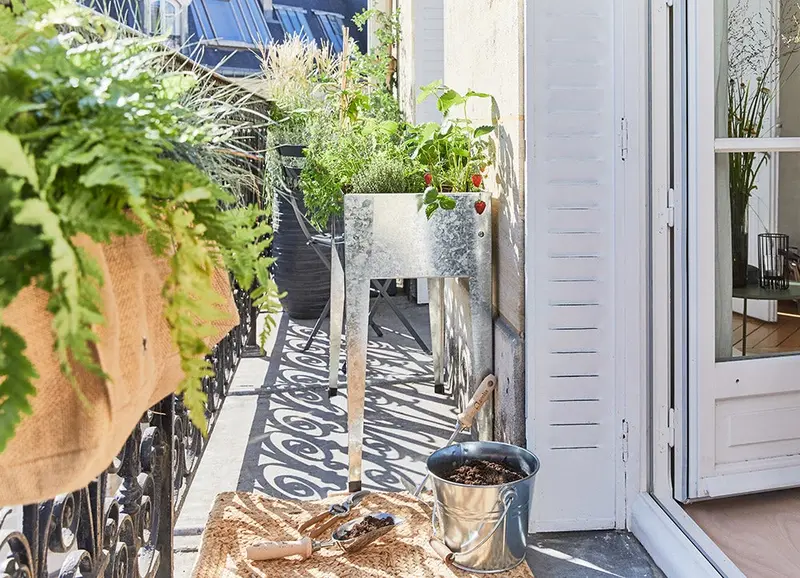bac à plantes sur balcon filant aménagé bac à plantes sur balcon filant aménagé