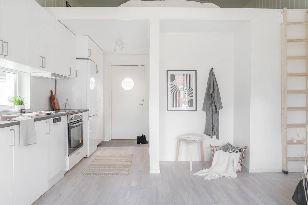 salon avec mezzanine et cuisine mini maison 25m2