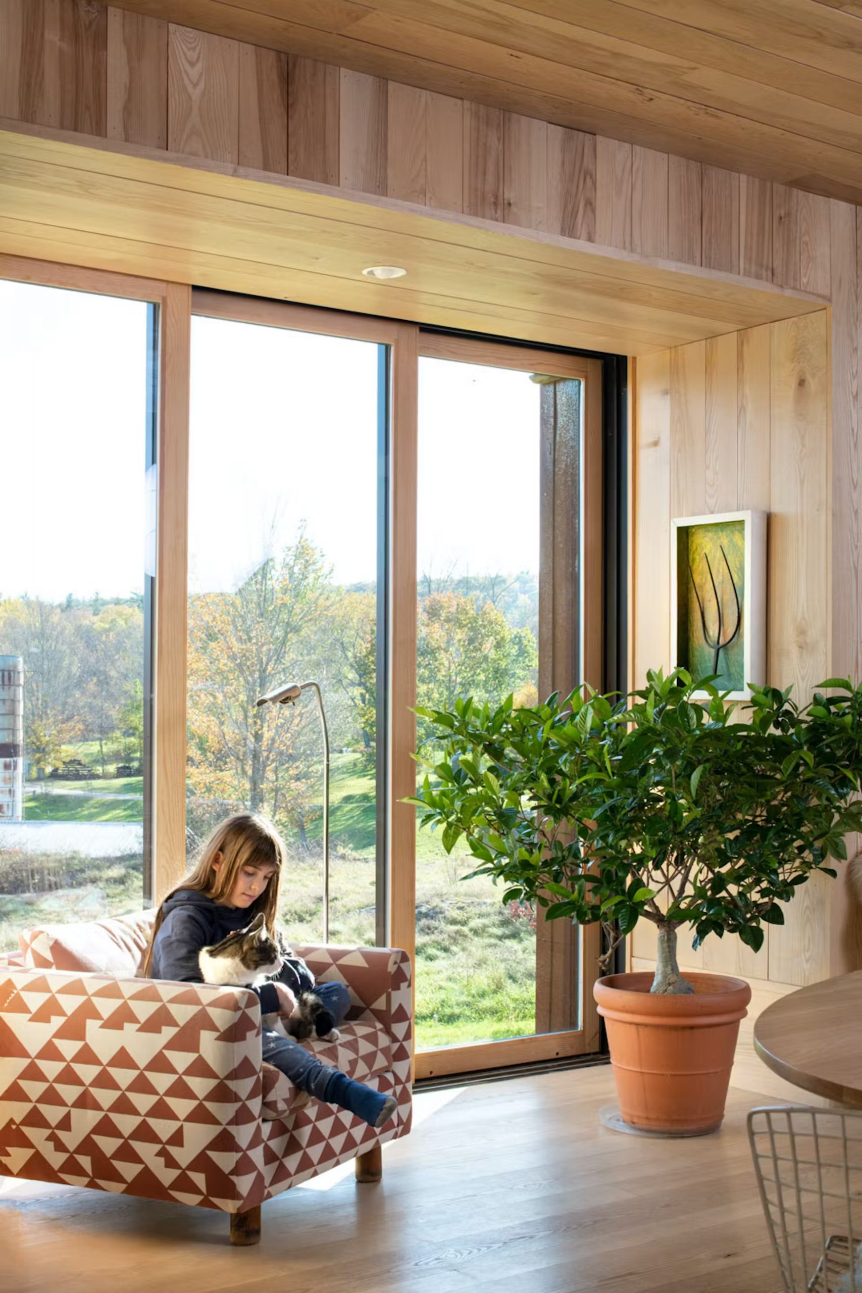 salon baie vitrée mur bois