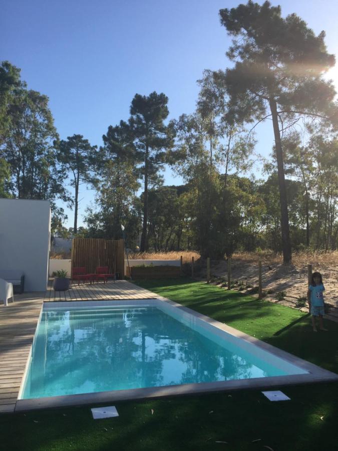 piscine dans jardin avec pins piscine dans jardin avec pins