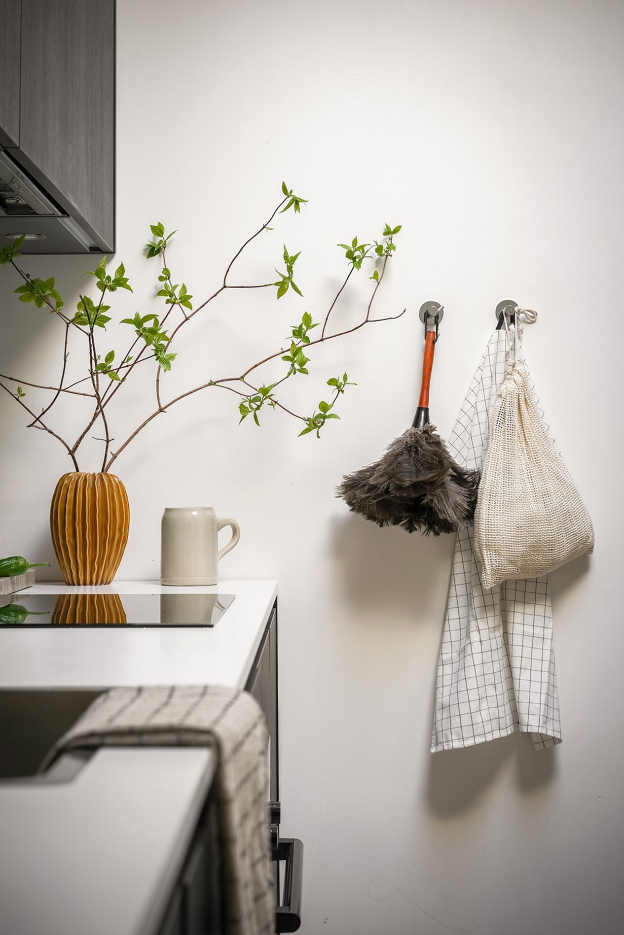 cuisine design noyer