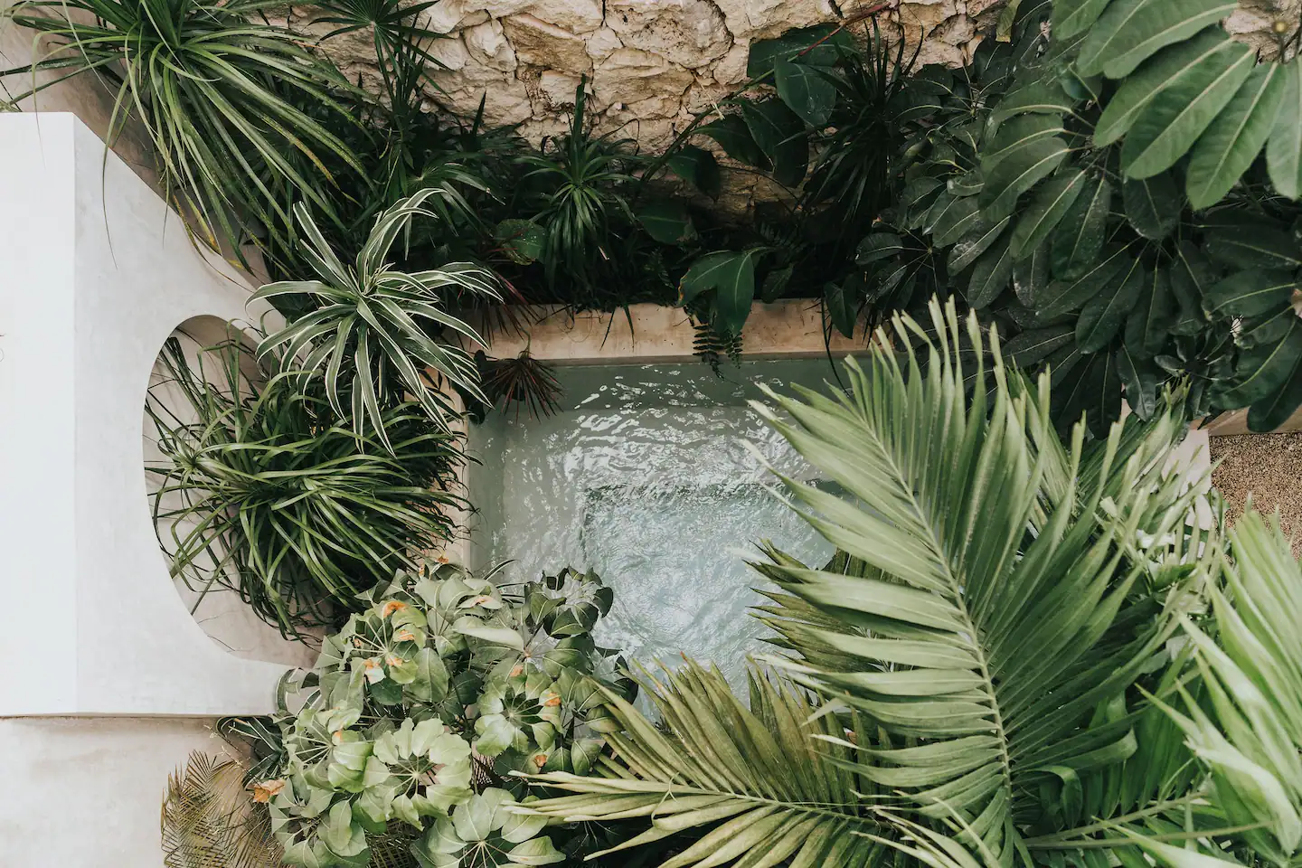 jardin avec murs pierres et piscine