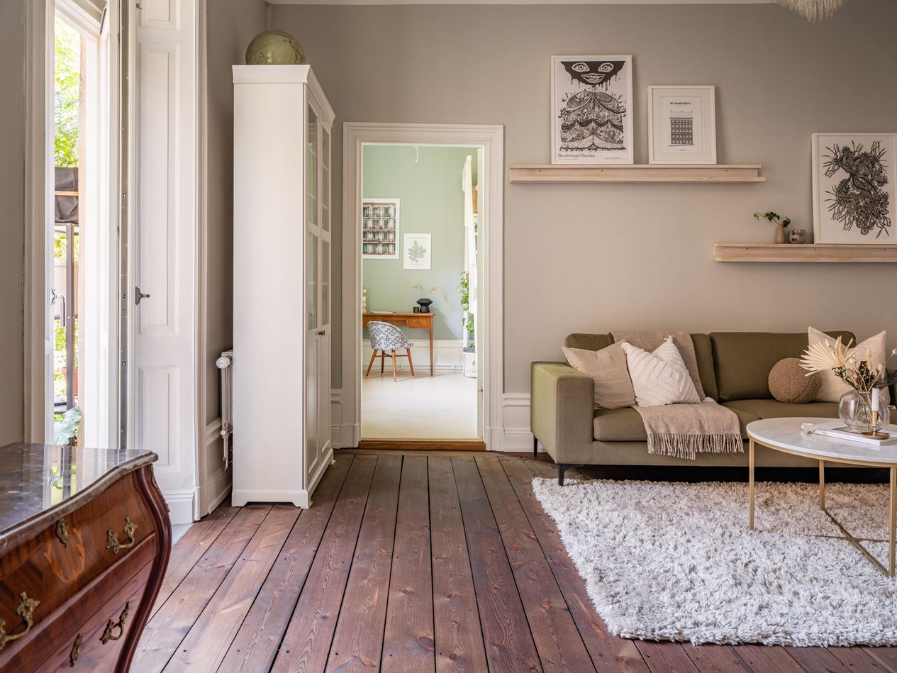 salon murs gris