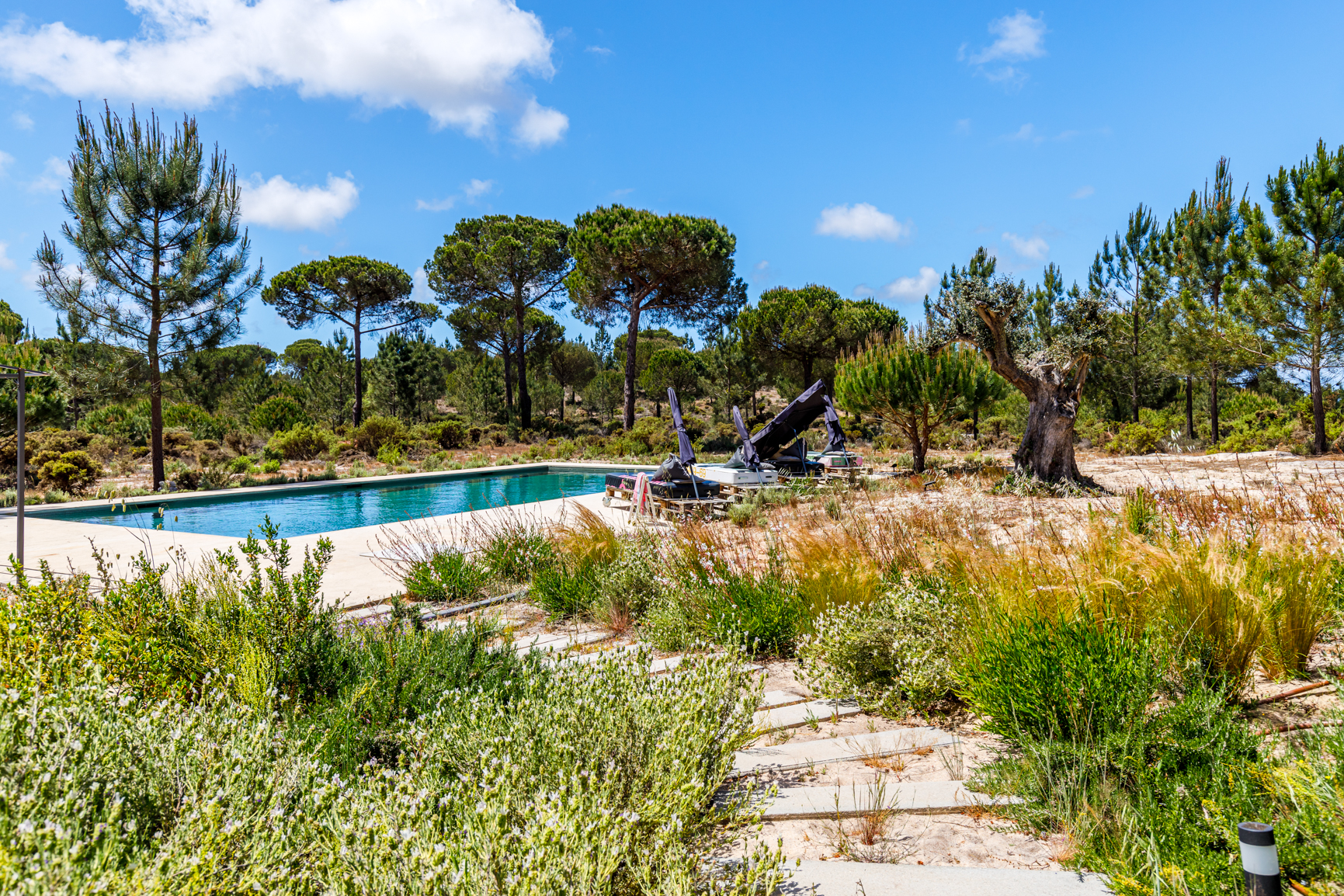 piscine jardin du sud piscine jardin du sud