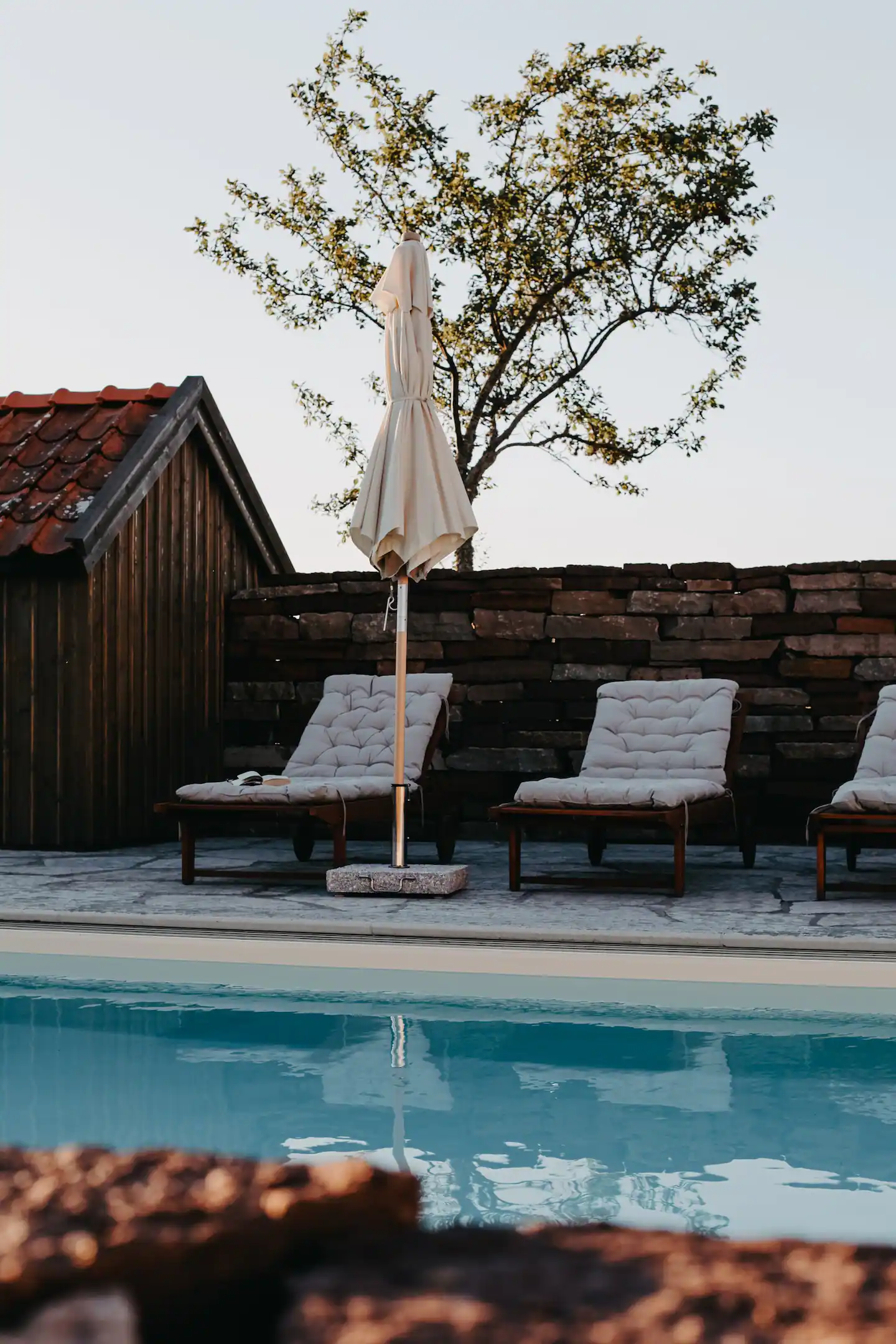 jardin avec piscine