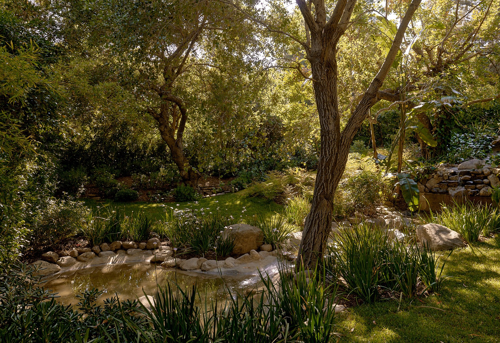 jardin jardin
