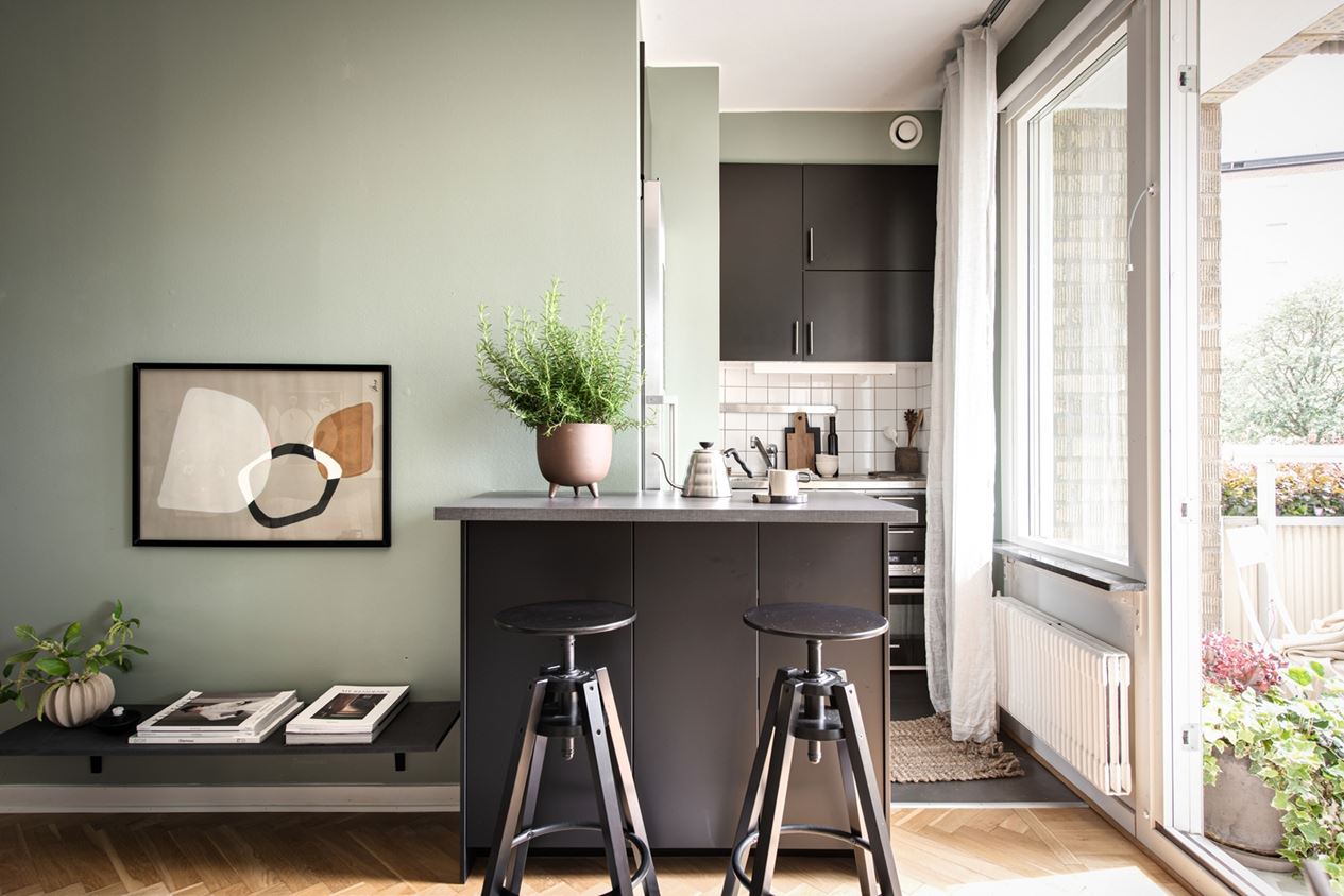 cuisine noire mur vert studio 28m2 cuisine noire mur vert studio 28m2