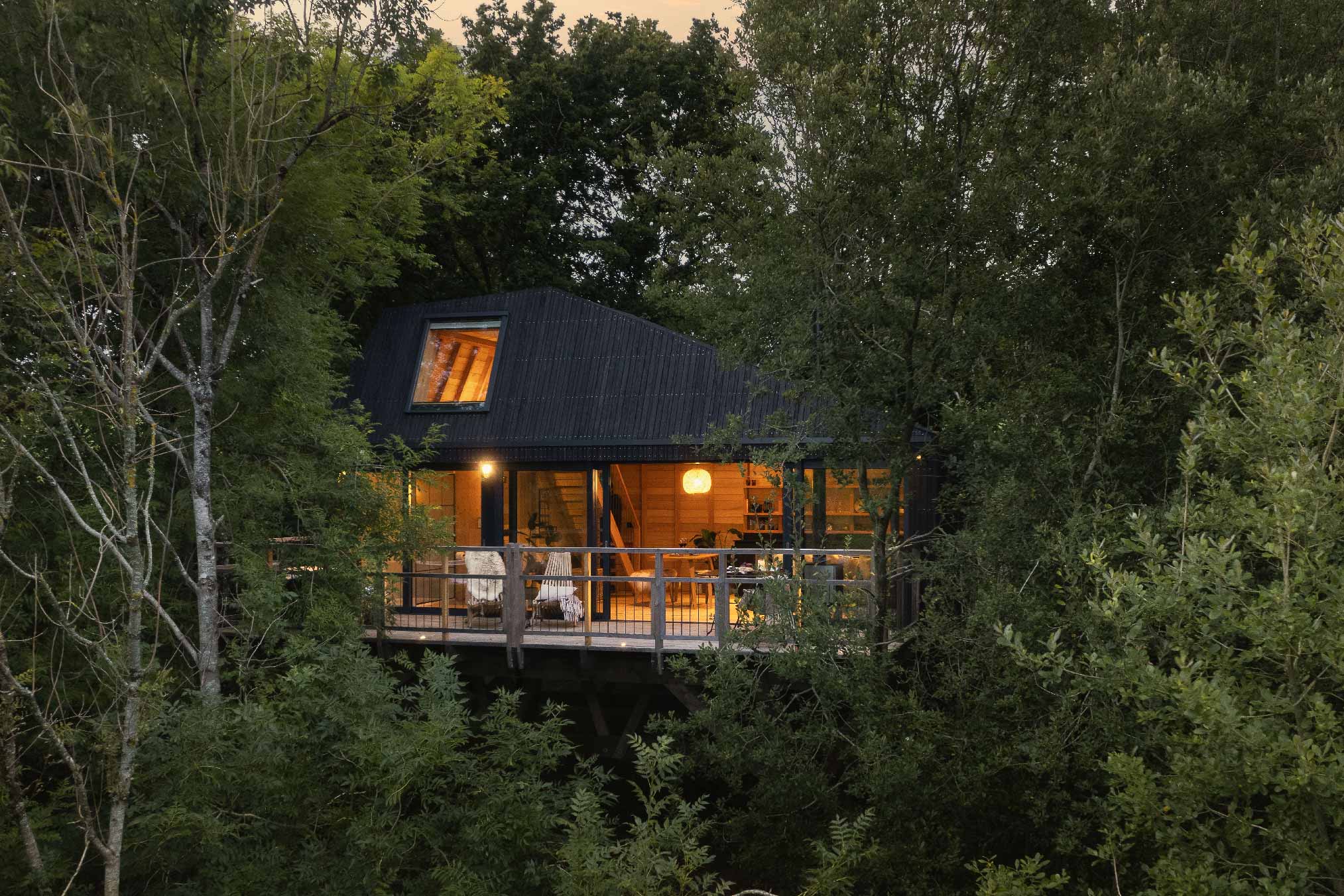 maison en bois noir dans les arbres maison en bois noir dans les arbres