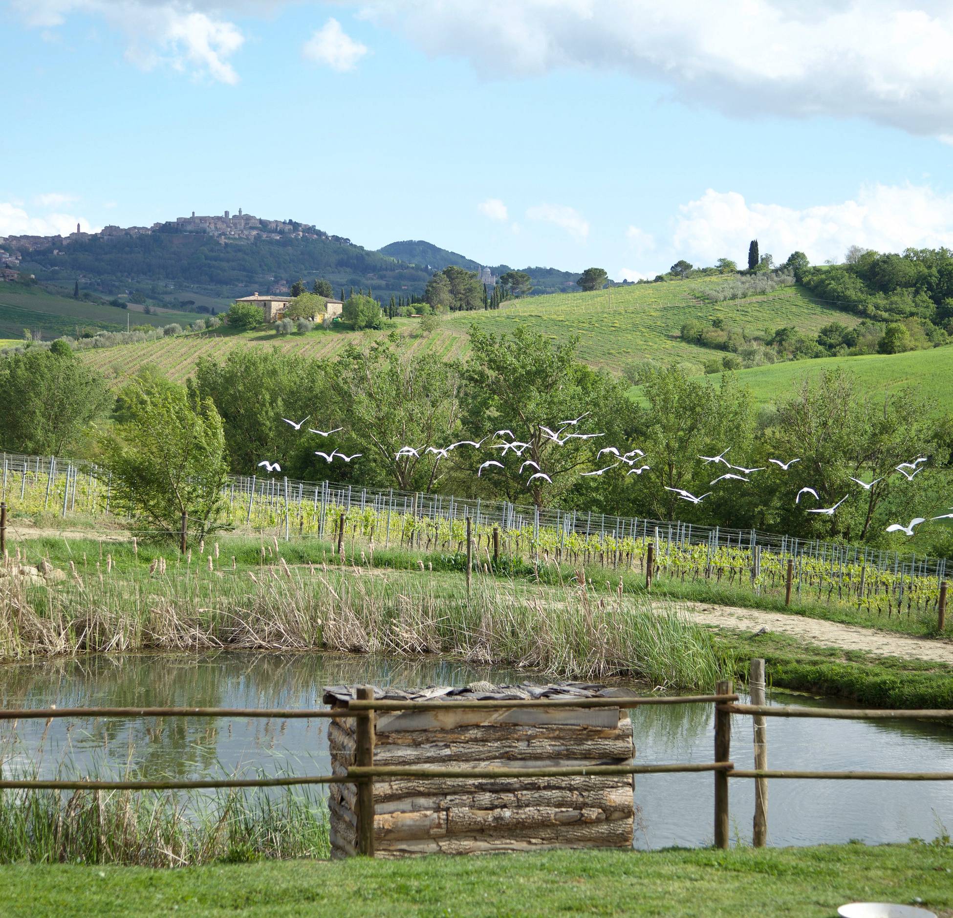 paysage Toscane avec maison en pierre paysage Toscane avec maison en pierre
