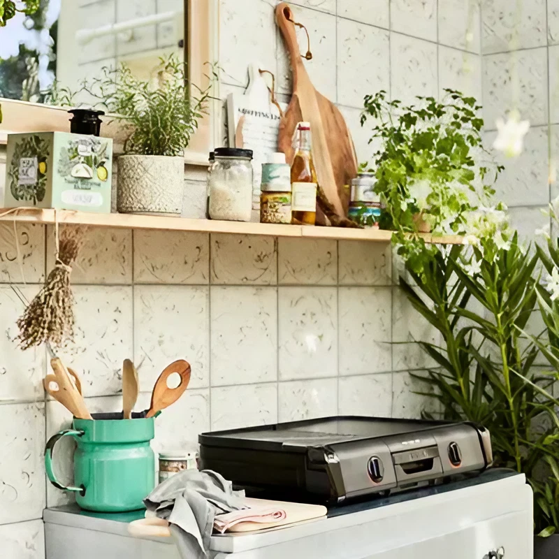 cuisine été avec plancha