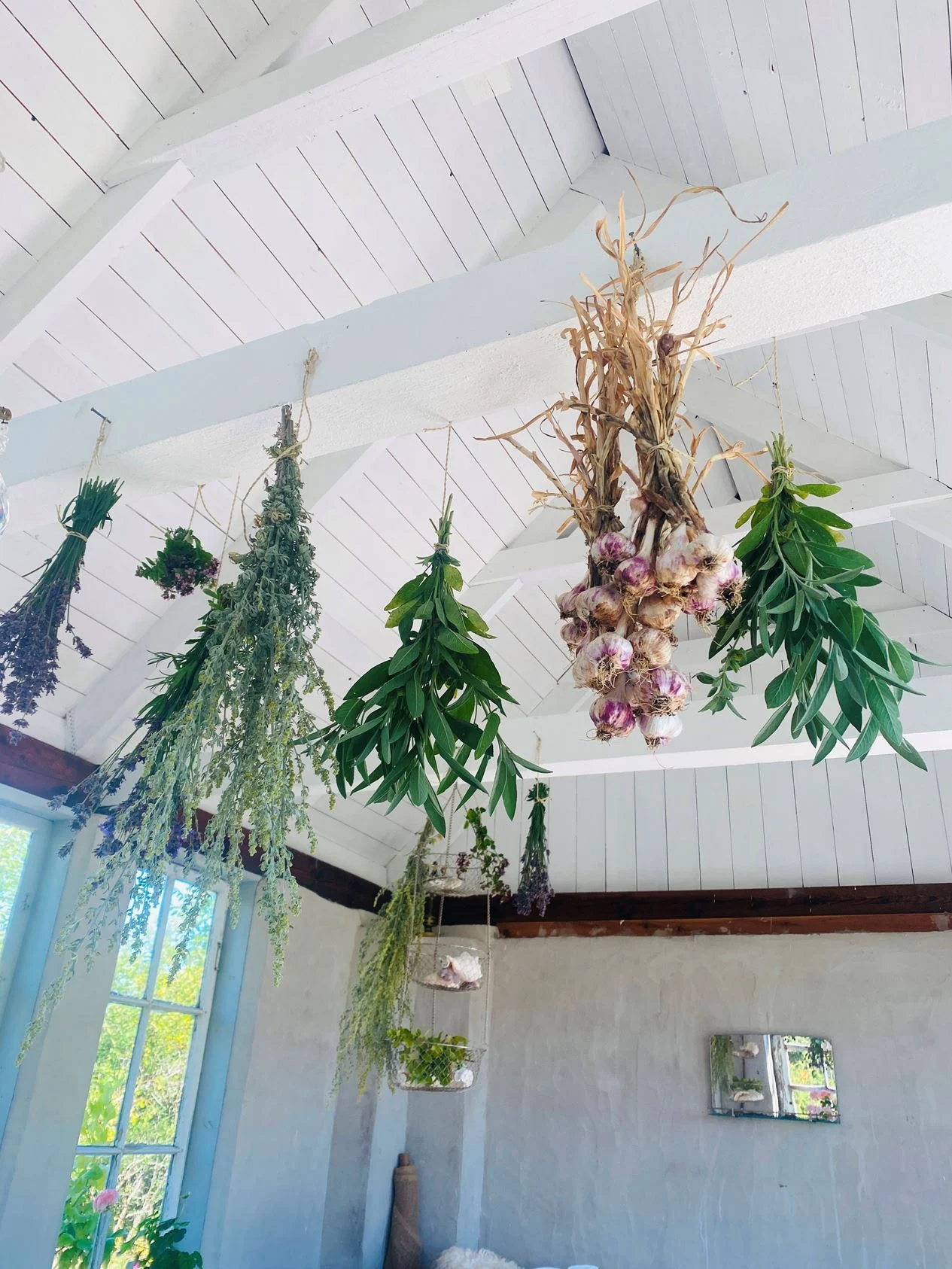 salon avec plantes salon avec plantes