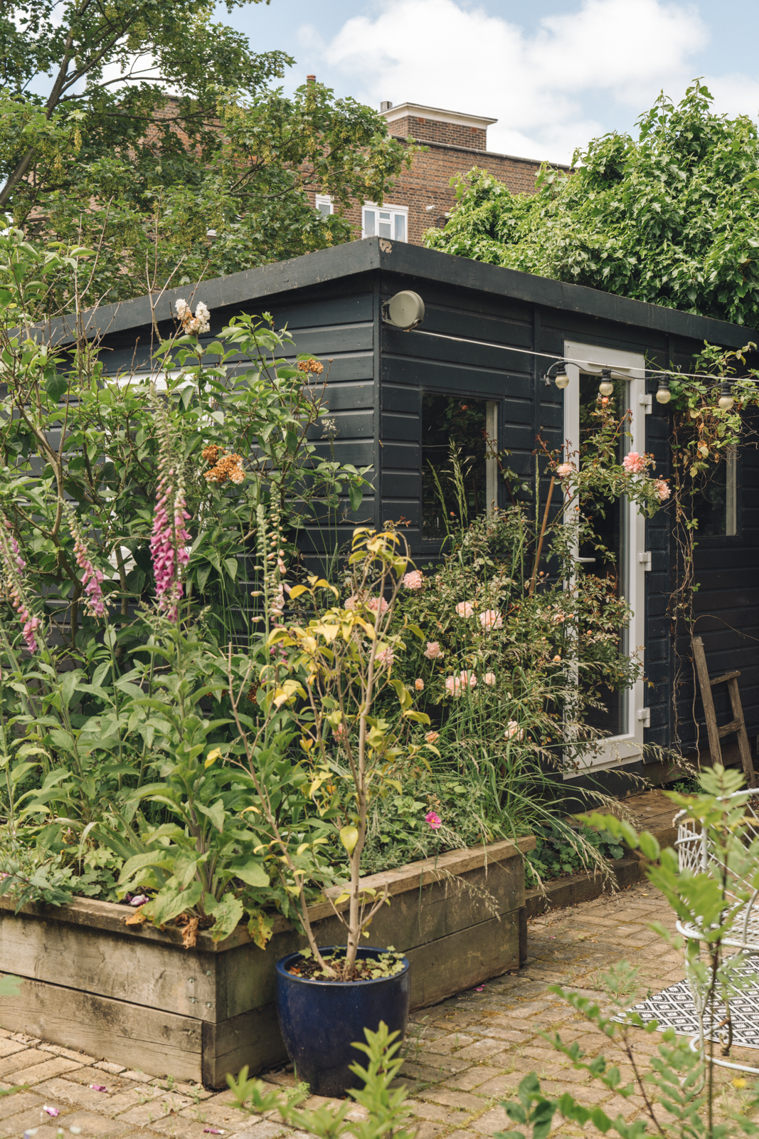 cabanon jardin bois vert foncé