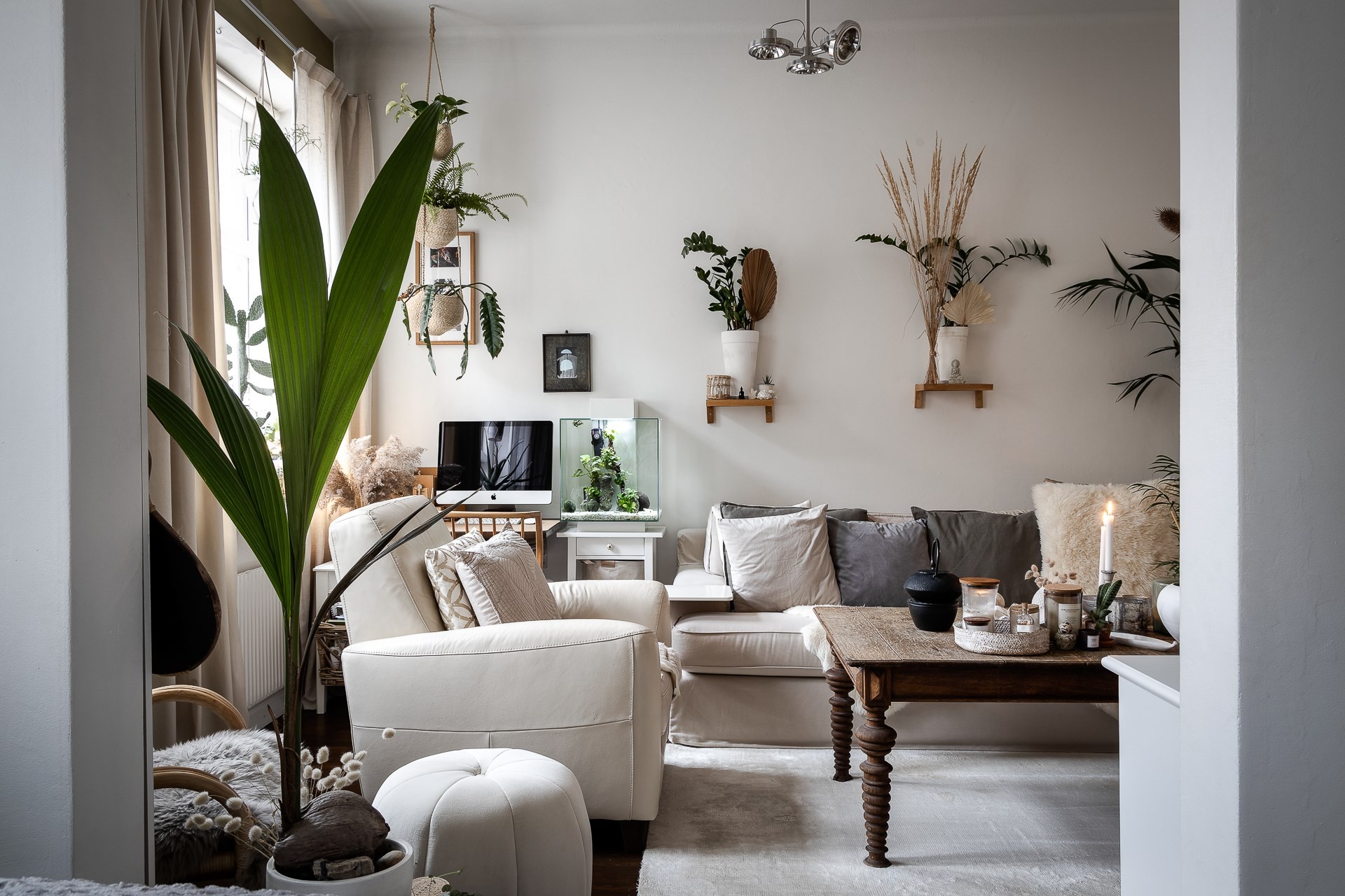salon avec plantes décoration scandinave salon avec plantes décoration scandinave