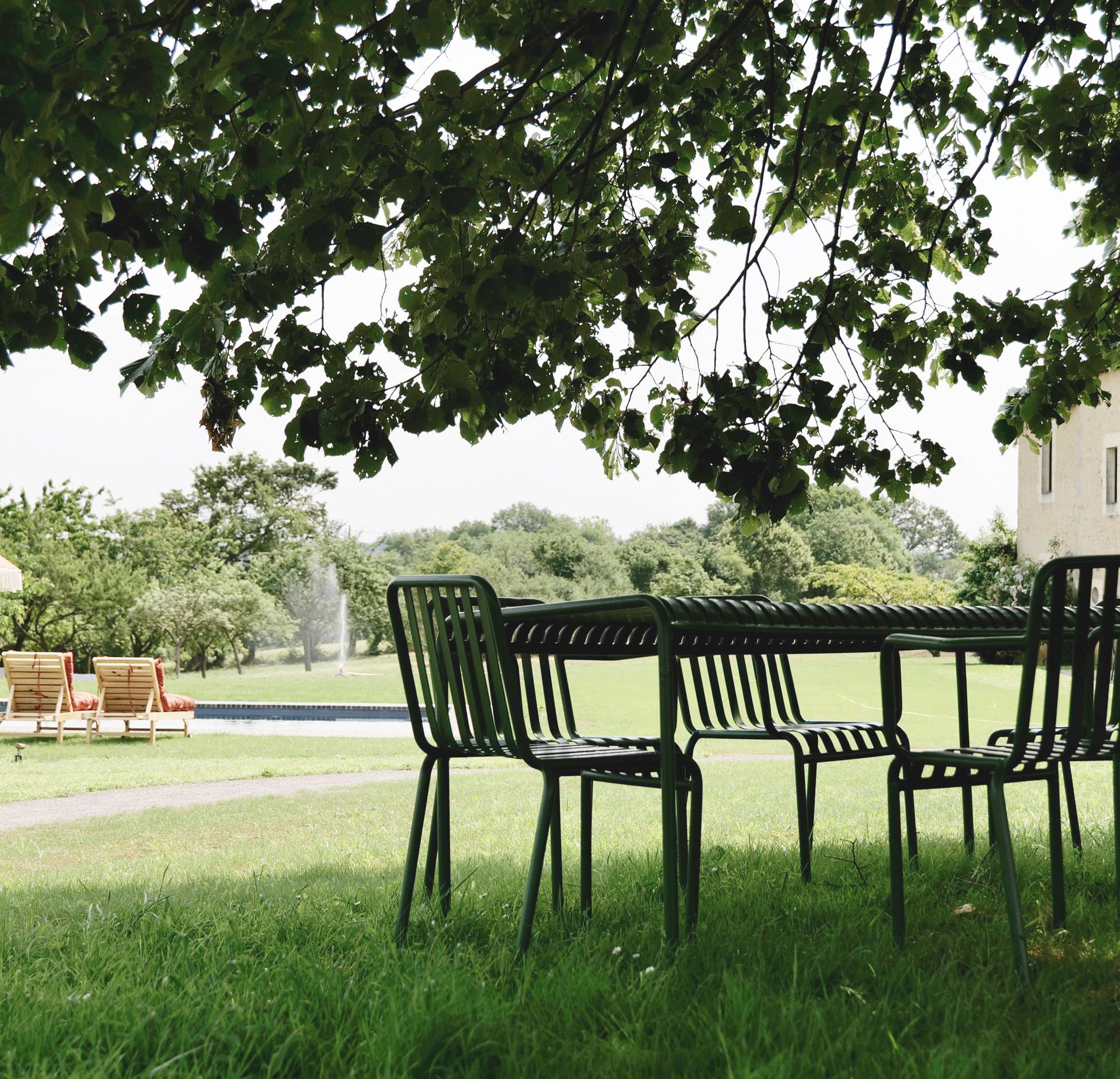 jardin jardin