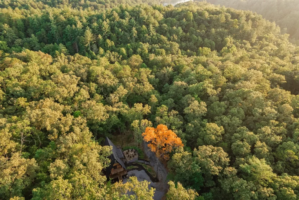 maison A-Frame en bois dans clairière maison A-Frame en bois dans clairière