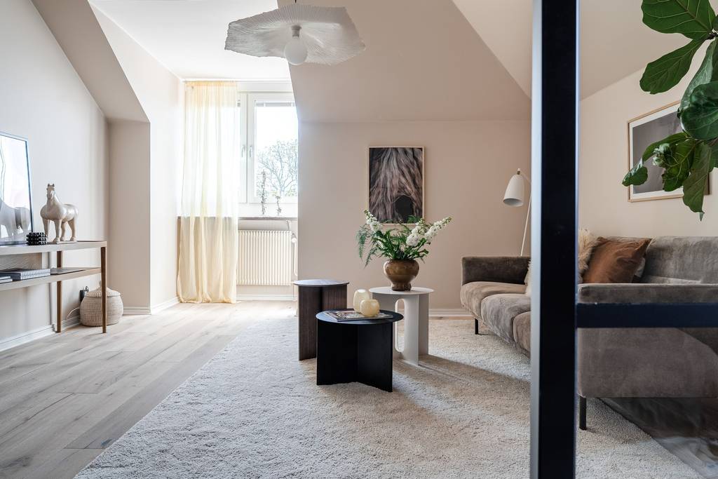 salon mansardé appartement 50m2 salon mansardé appartement 50m2