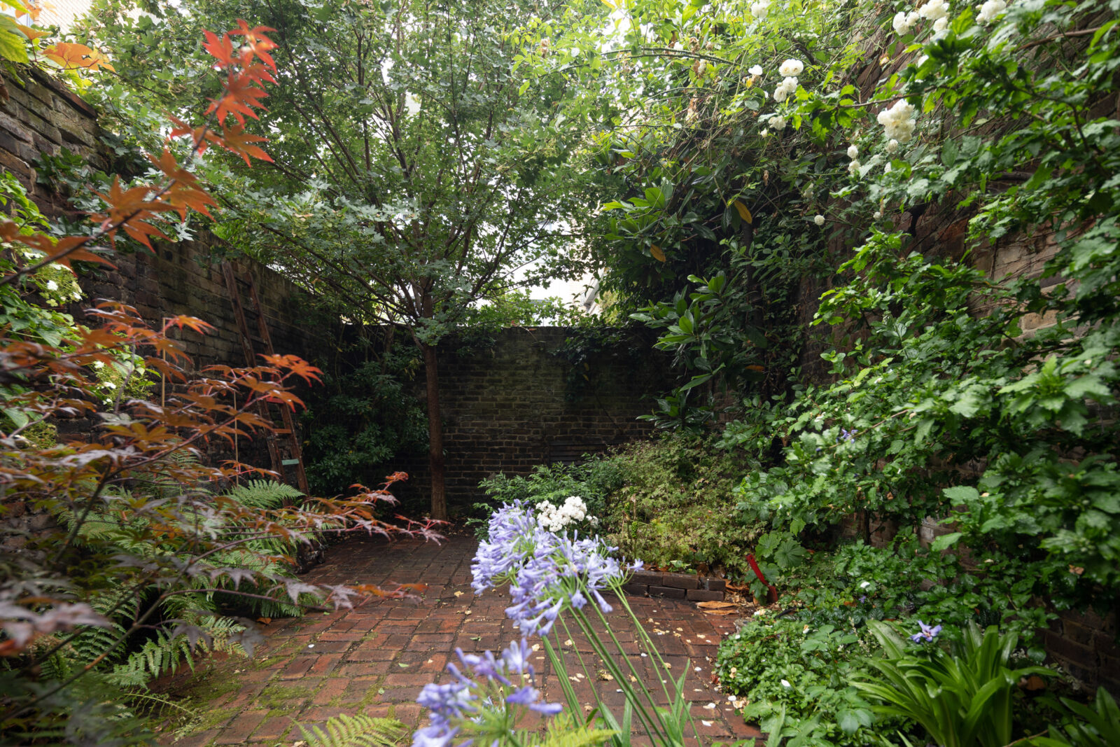 petit jardin de ville
